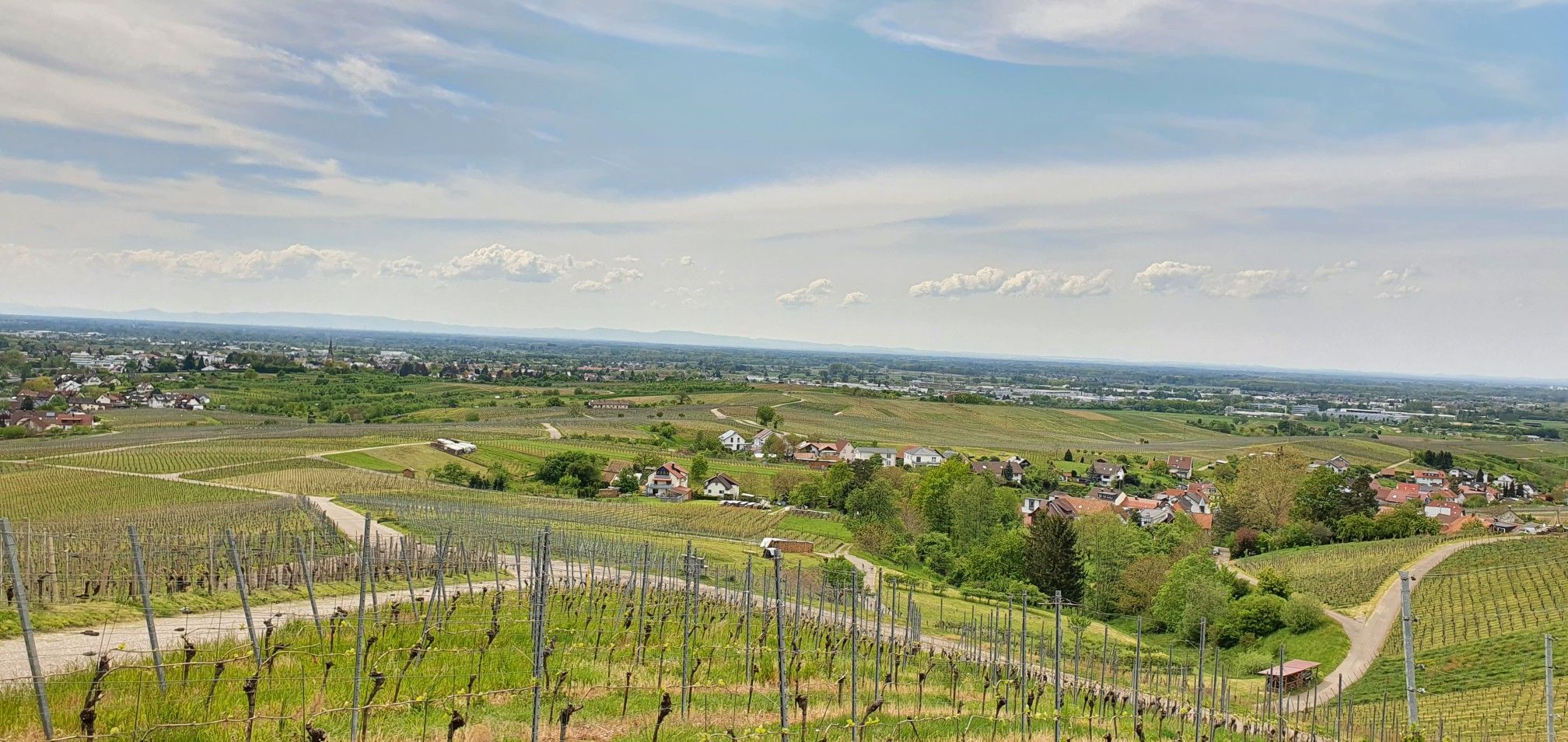  Blick auf die Vogesen