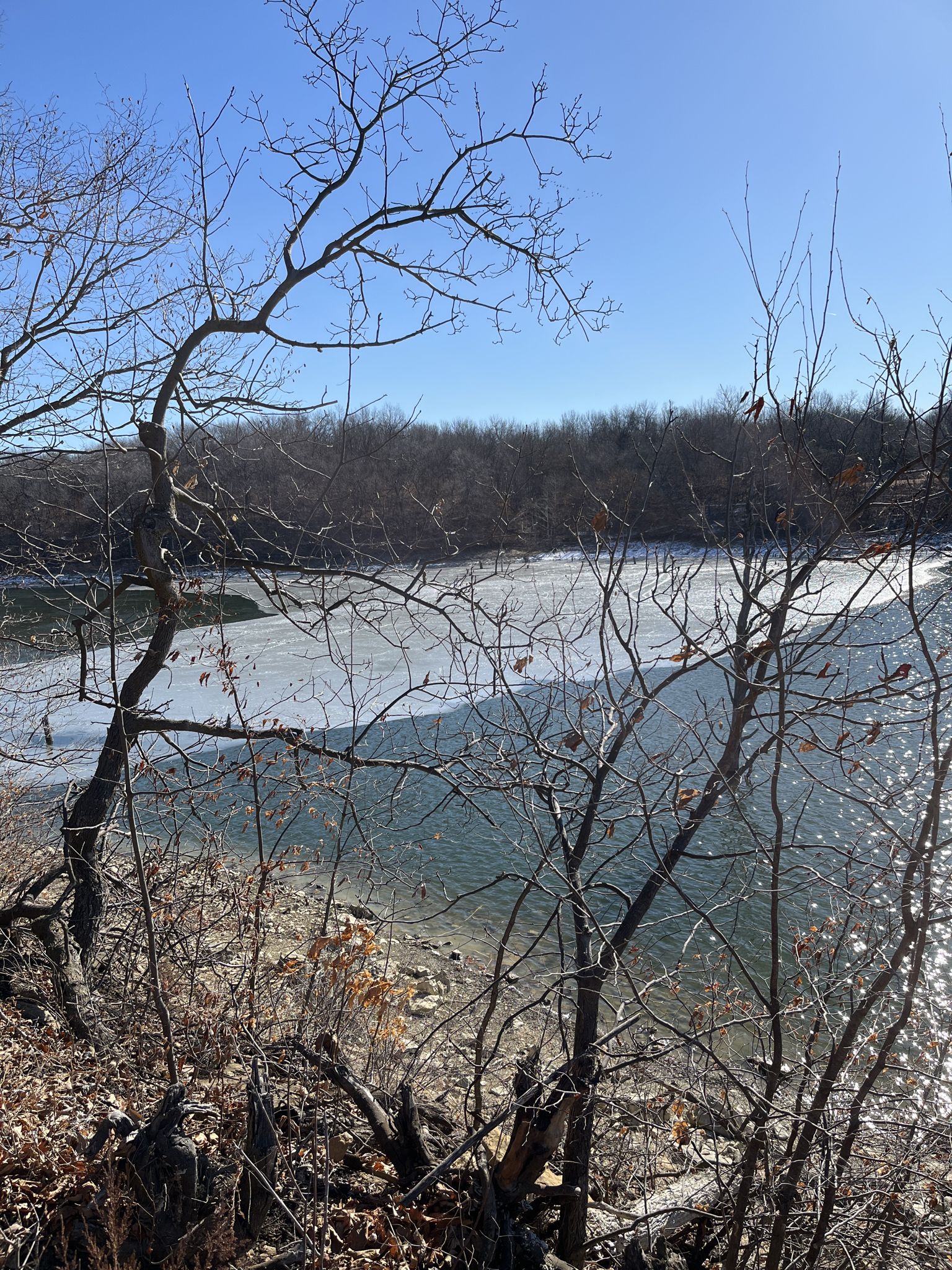 Partially frozen lake viewed through bare tree branches on a sunny day. - Smithville Lake MTB Trails