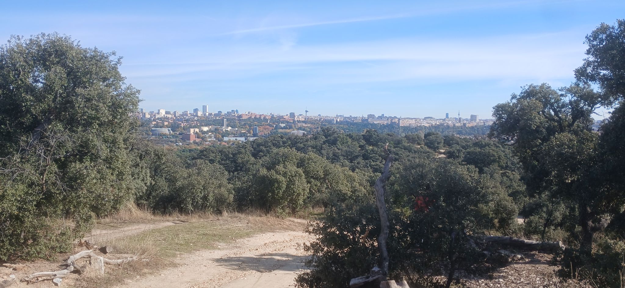 Garabitas mirando a Madrid