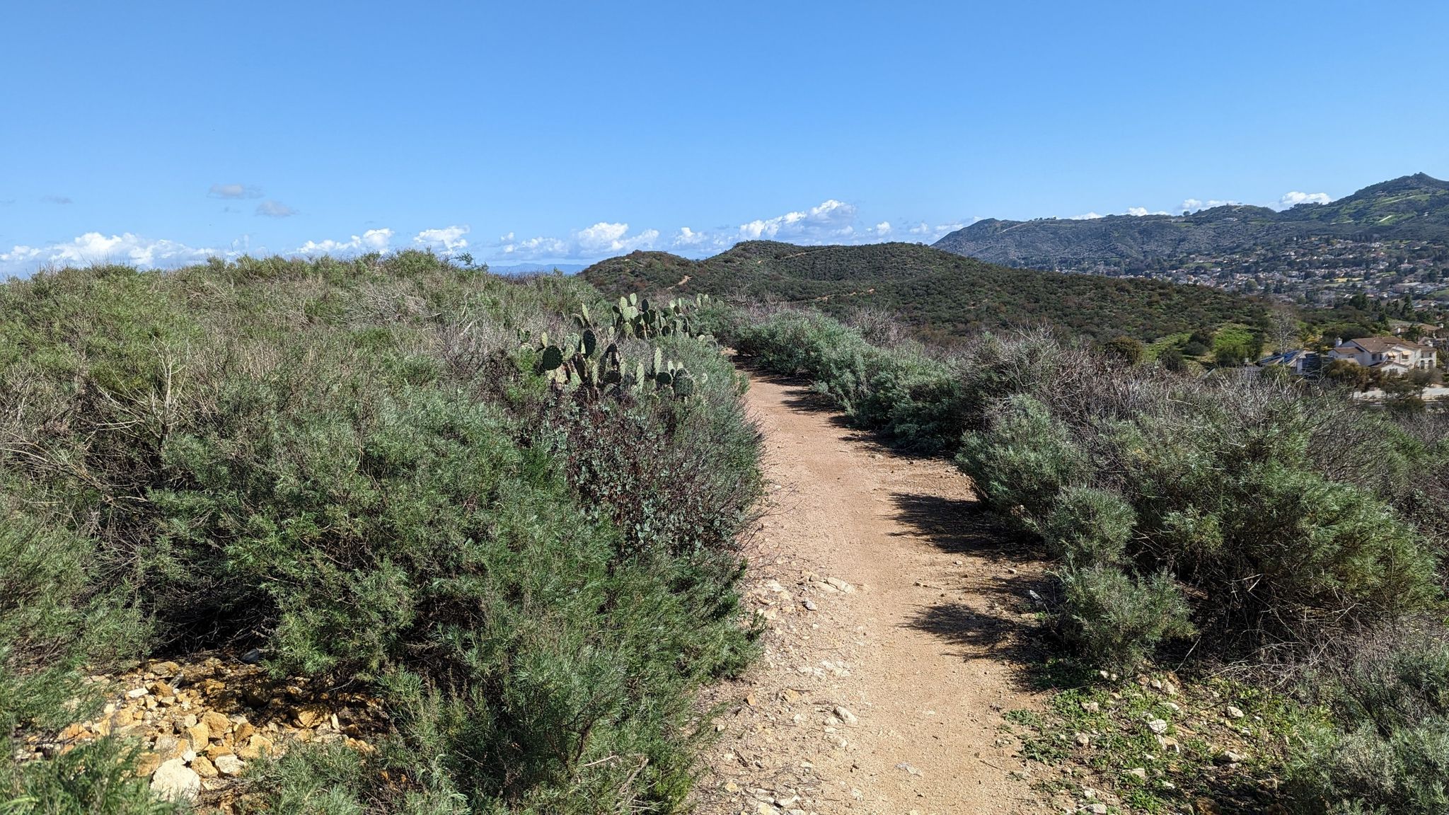 A dirt path winds through dry, brushy hills under a clear blue sky. - Twin Ponds via Portrero Ridge, Vista Del Mar, and Sierra Vista Trails