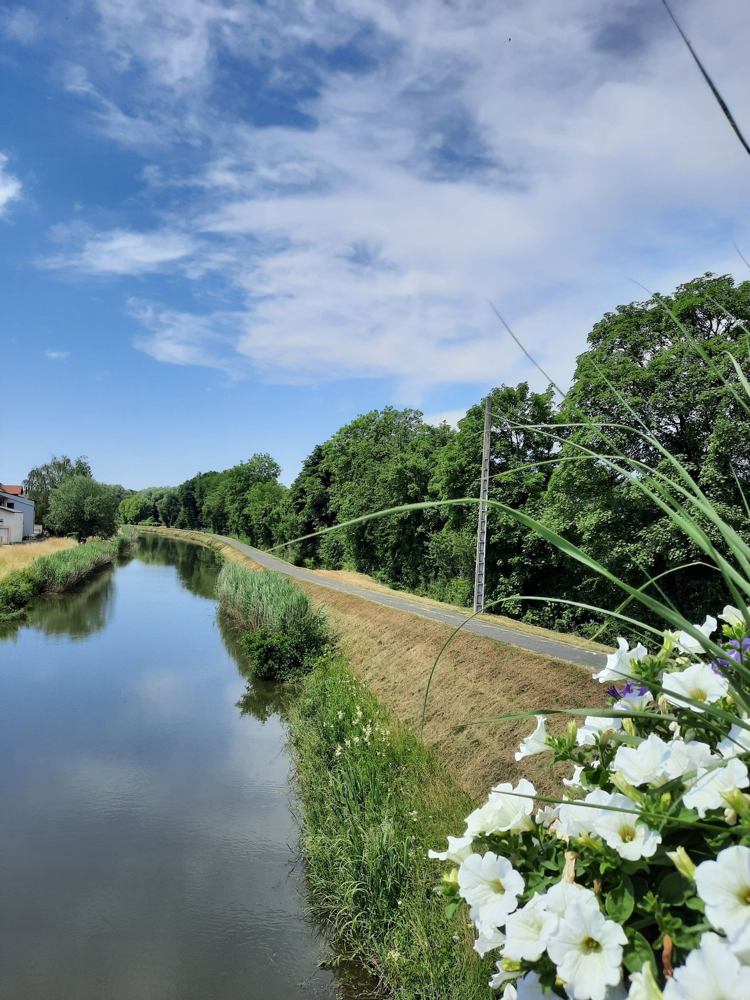 ...und komme an der Schleuse Nr. 25 wieder an die Saar