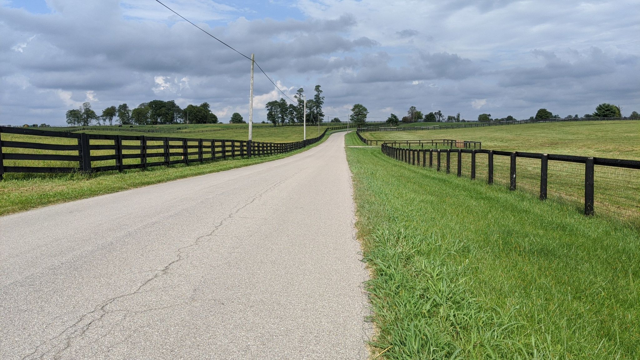 A paved road winds through green fields with black fences under cloudy skies. - Mt Horeb Pike loop from Kentucky Horse Park