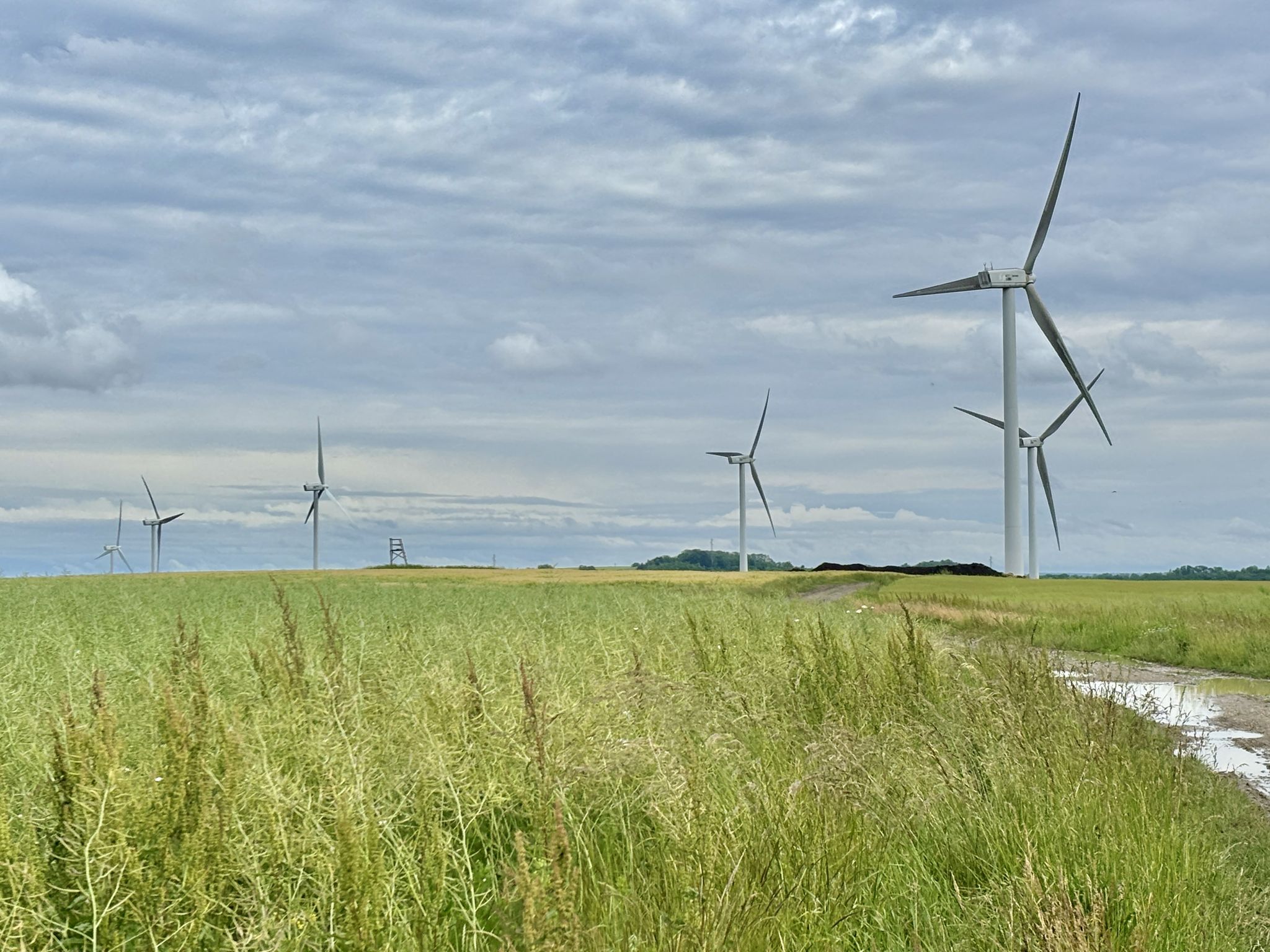 Les 6 éoliennes du parc de Bambesch