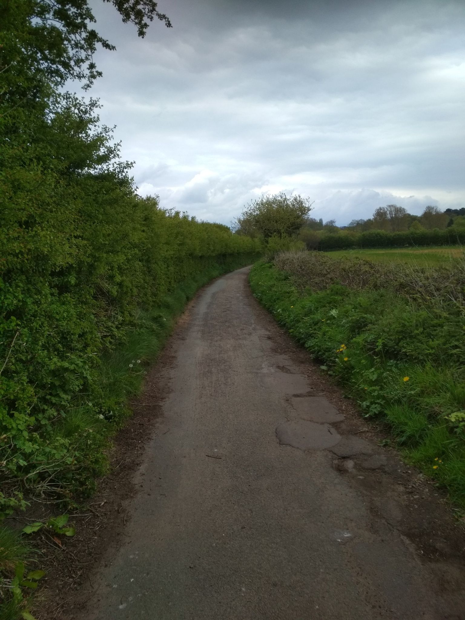 Oldfield lane