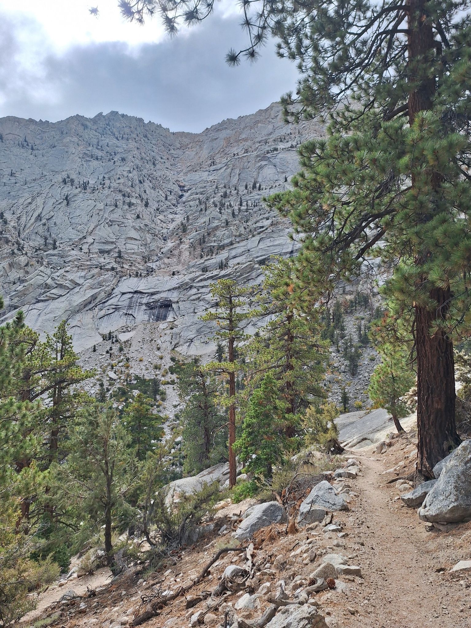 Dirt trail winding through pine trees beside a large, rocky mountain face. - North Fork Lone Pine Creek Trail