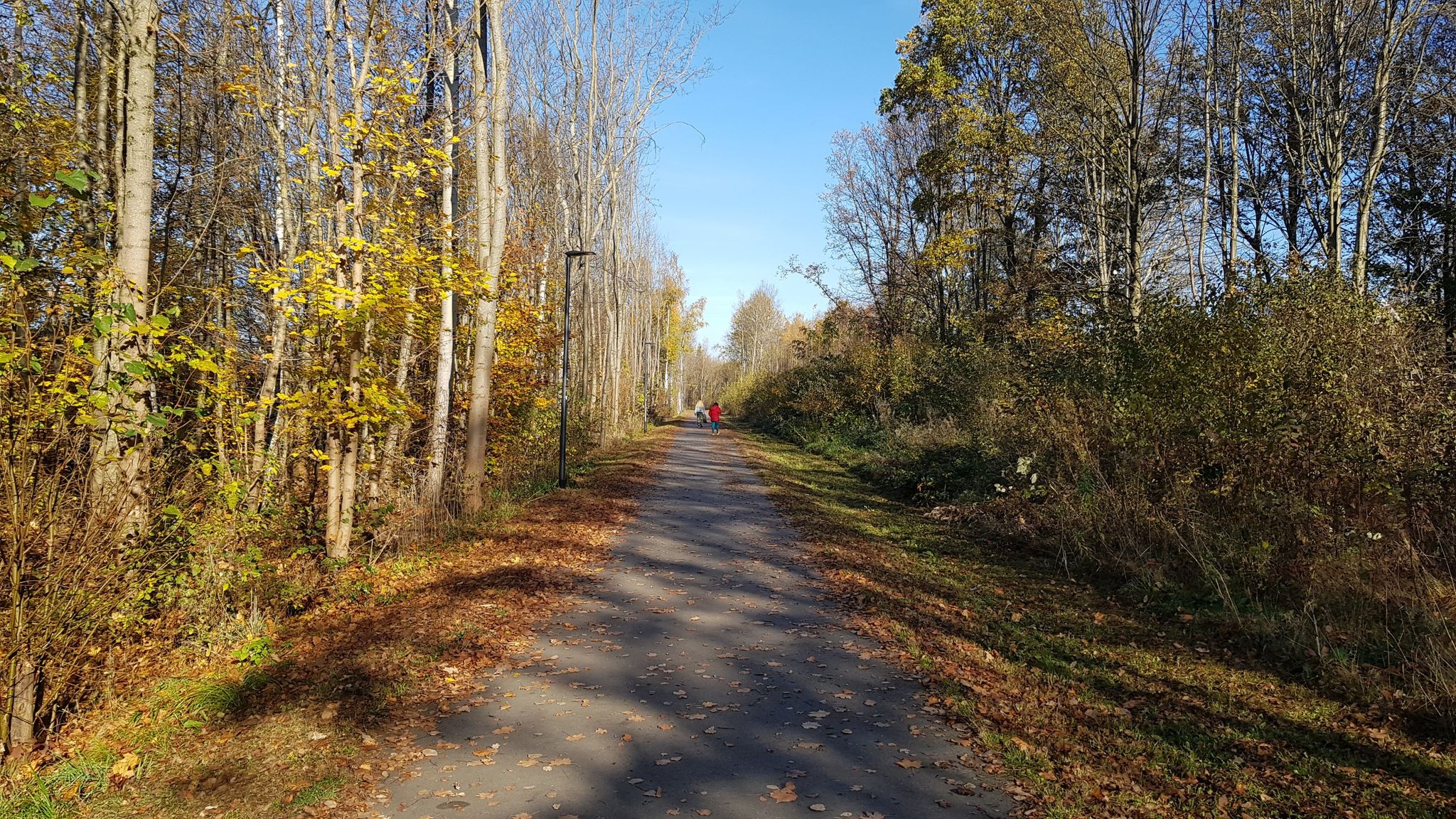 auf dem Vogtland Panorama Weg