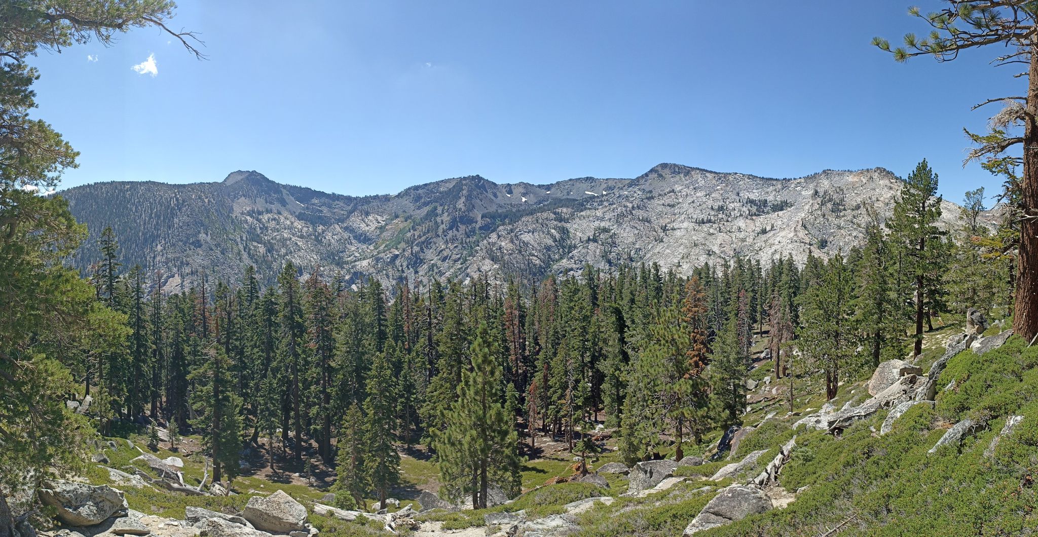 Panoramic view of a dense pine forest with rugged mountains in the background. - Pacific Crest Trail: Bayview to Barker Pass