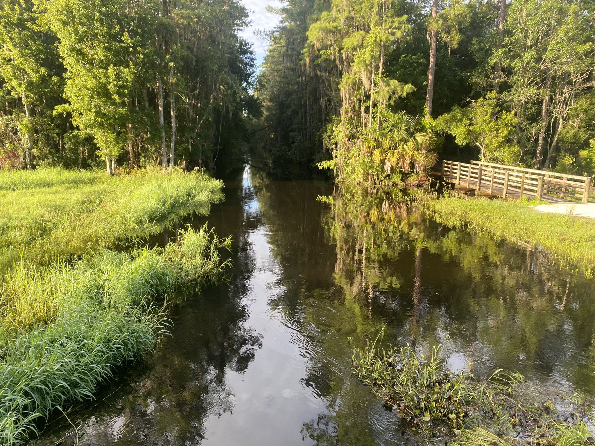 A dark water channel surrounded by lush green trees and a wooden bridge. - Flora Vista Pond loop from Hunters Creek