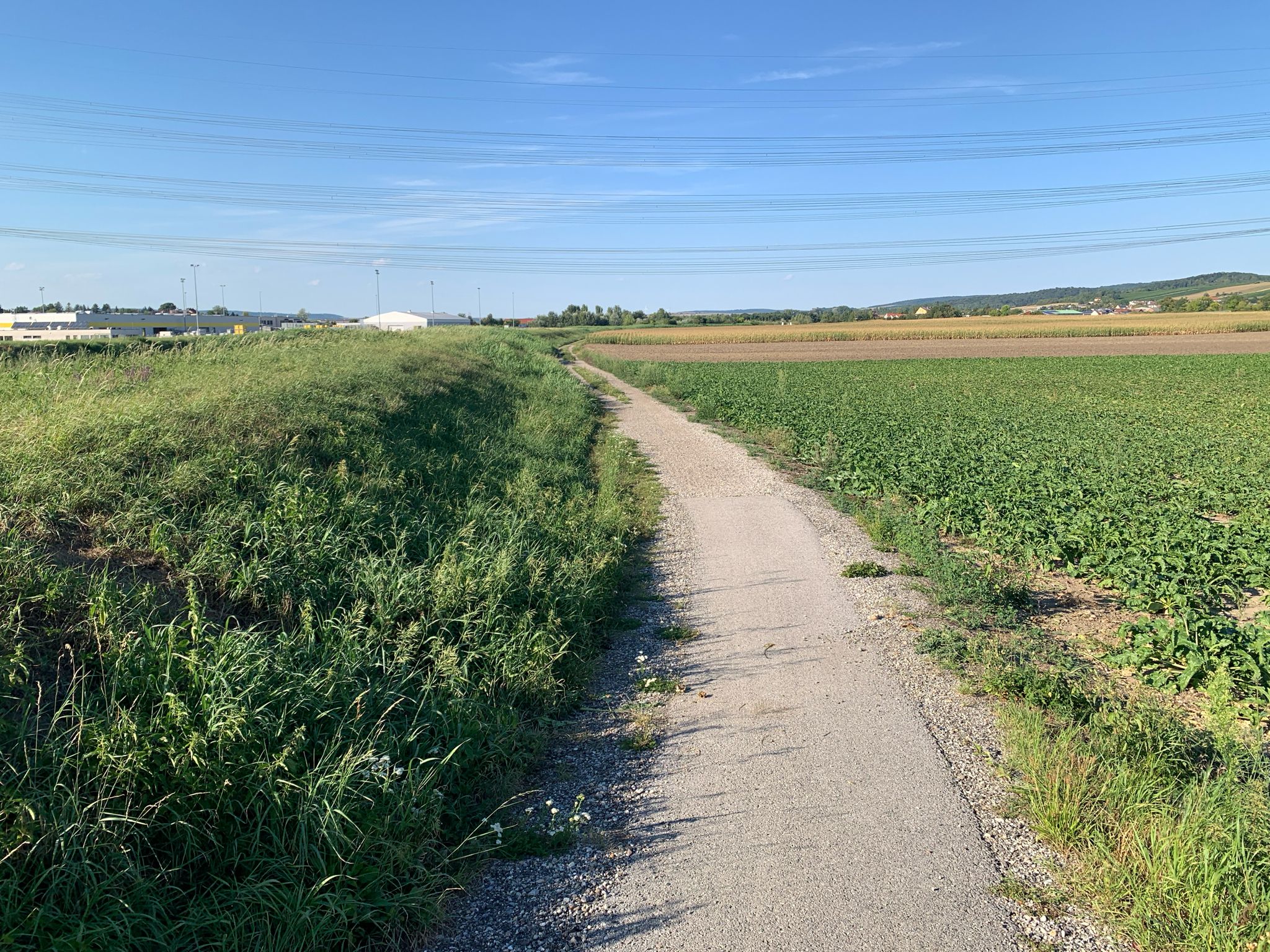 Flurweg nach Stetten