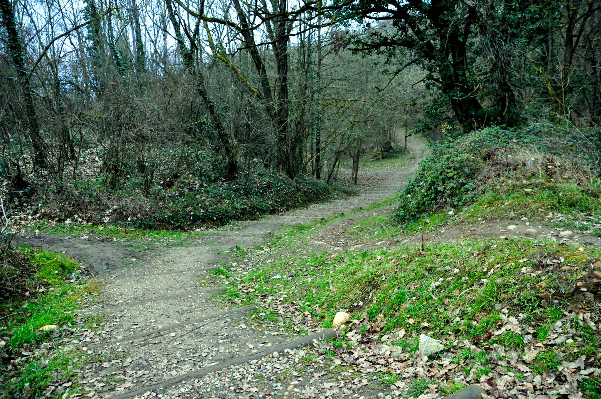 l'entrée du sentier du bois Sacuny