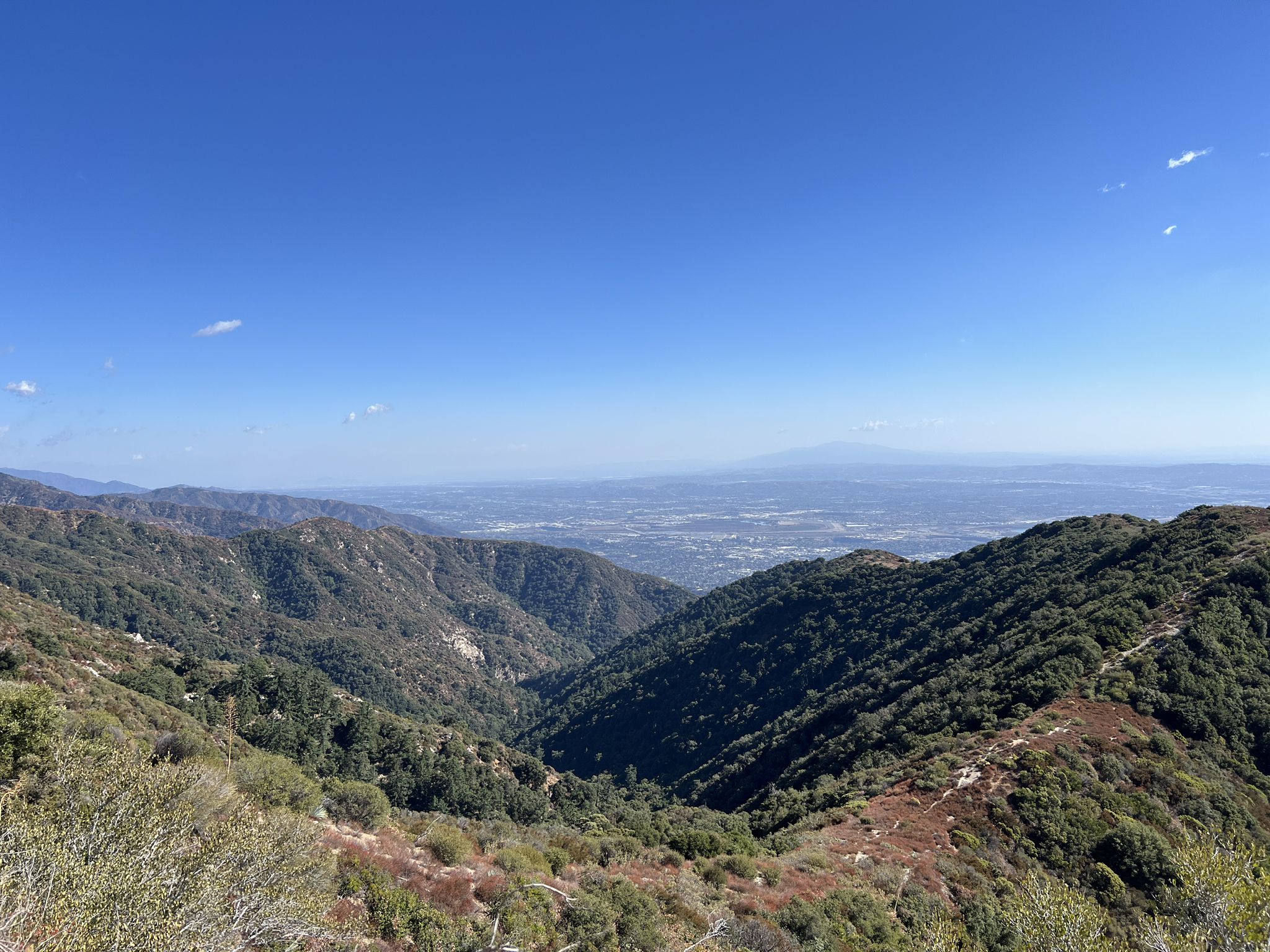 A vast mountain valley with green slopes and a distant hazy city. - Mount Yale via Bastard Ridge