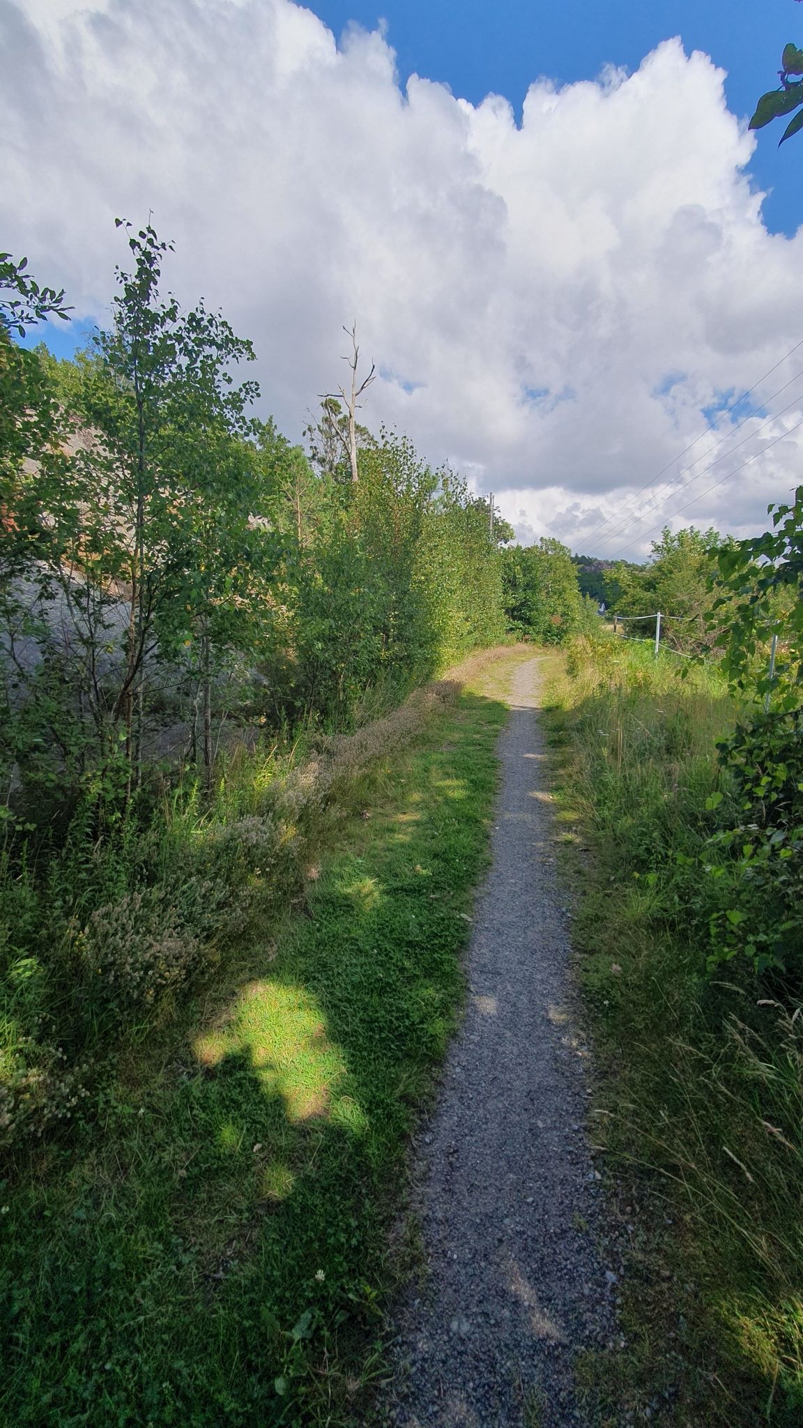 hübscher Weg zum Radfahren