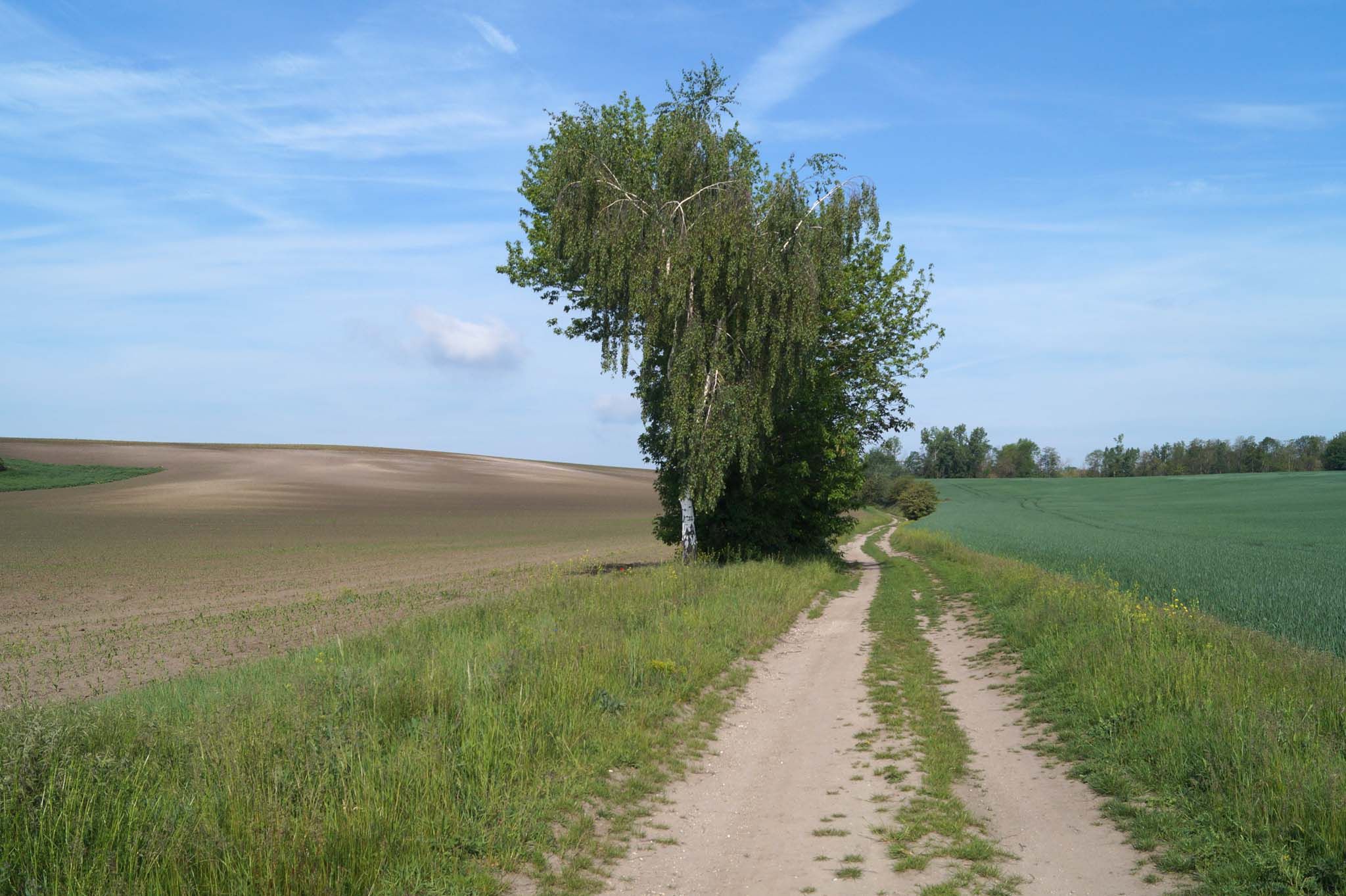 Köllmer Weg