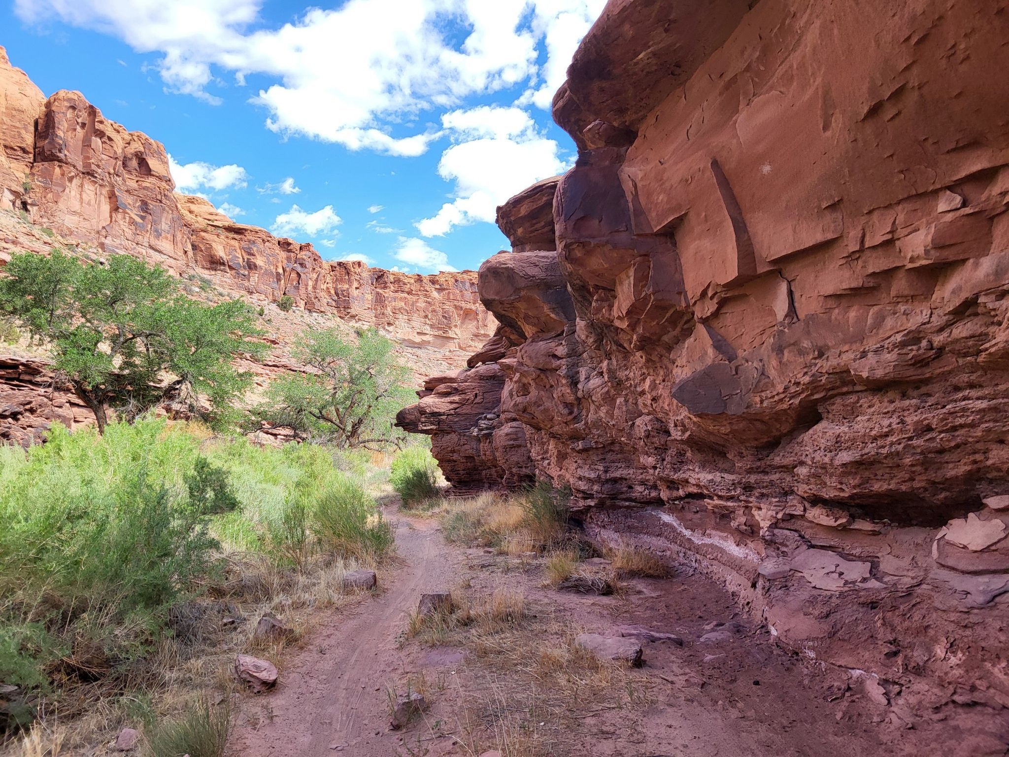 Dirt path winds through a red rock canyon with green trees under a blue sky. - Pritchett Canyon and Hunter Rim Loop