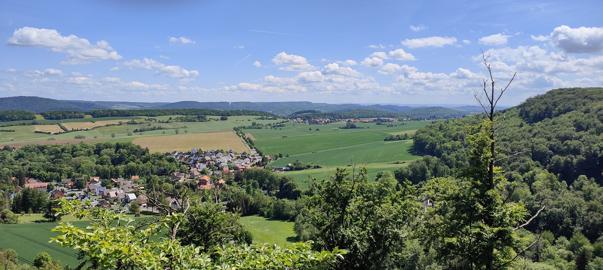 Blick von der Wolfskanzel