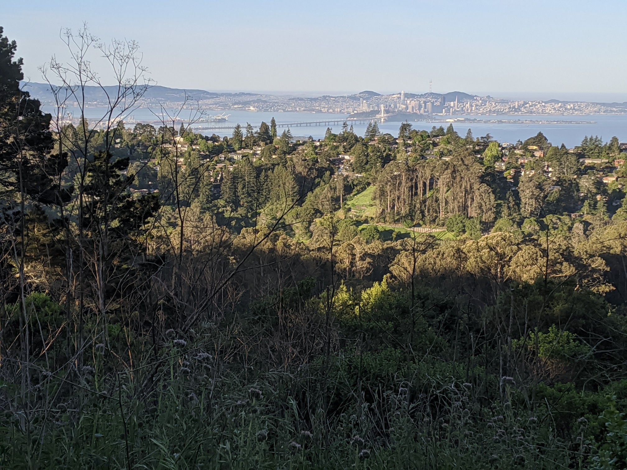 Hilltop view of a city, bridge, and body of water under clear sky. - Lower Big Springs Trail loop from Tilden Regional Park