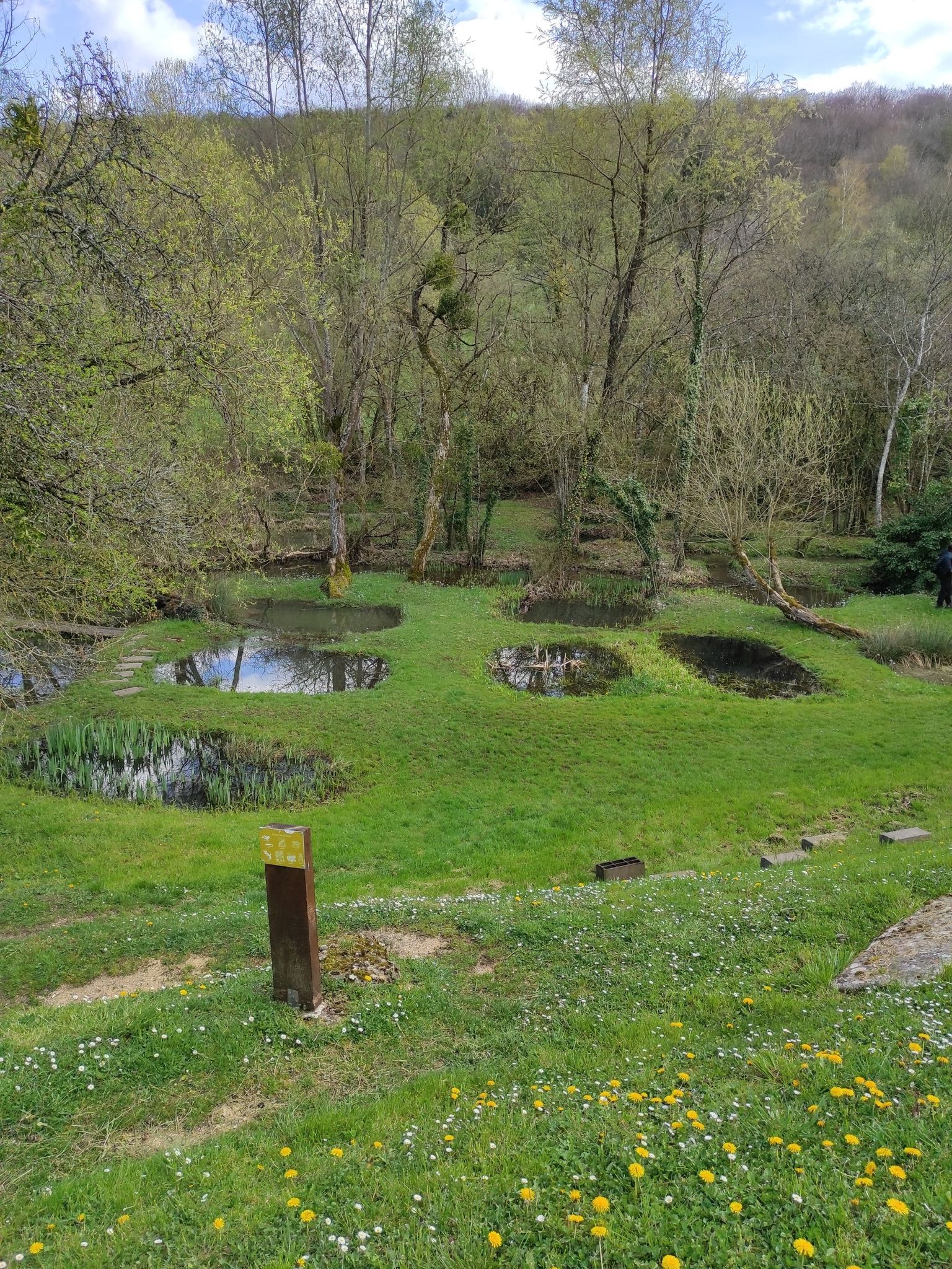 les roises