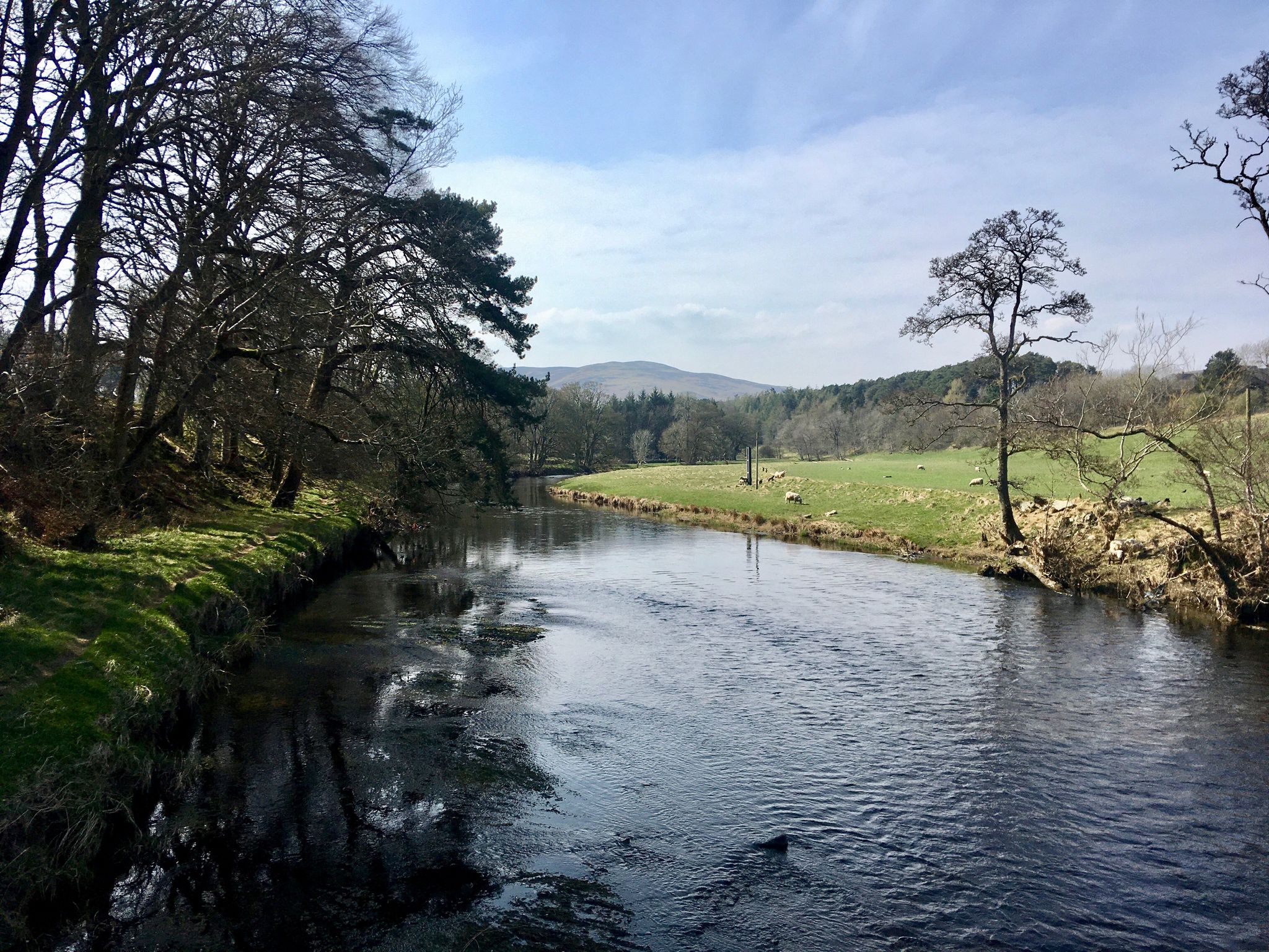 The Tweed