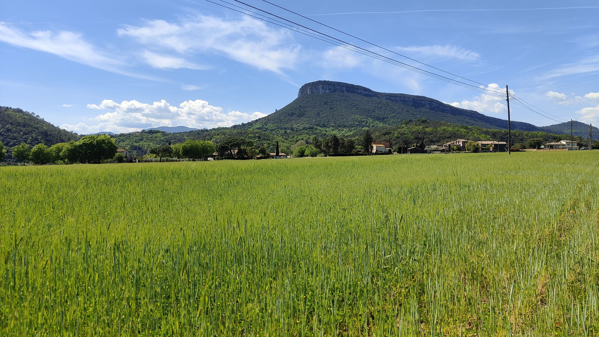 Sant Roc de la Barroca 