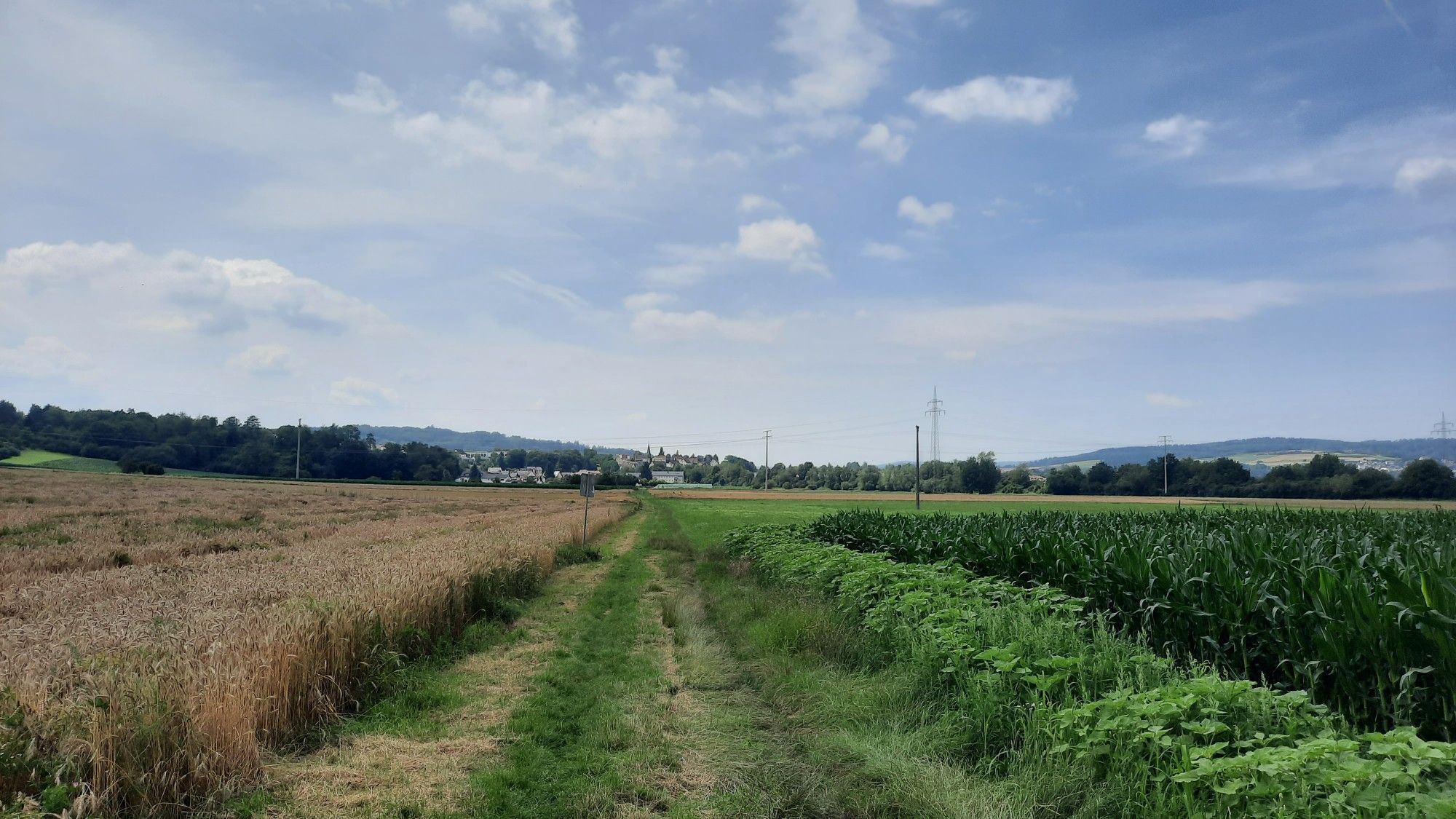 Burgsolms