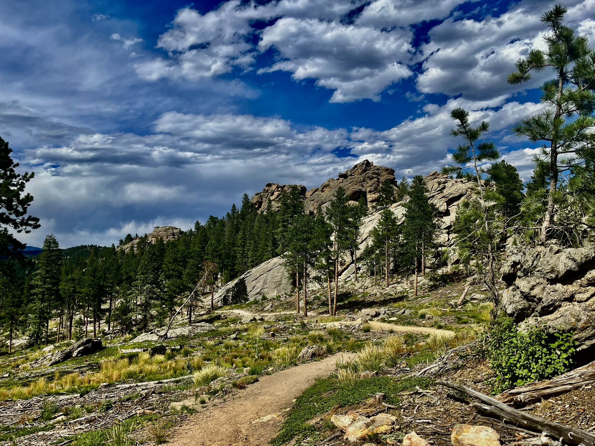 Dirt trail winding through a pine forest with rocky hills under a cloudy sky. - Hidden Fawn Loop Trail