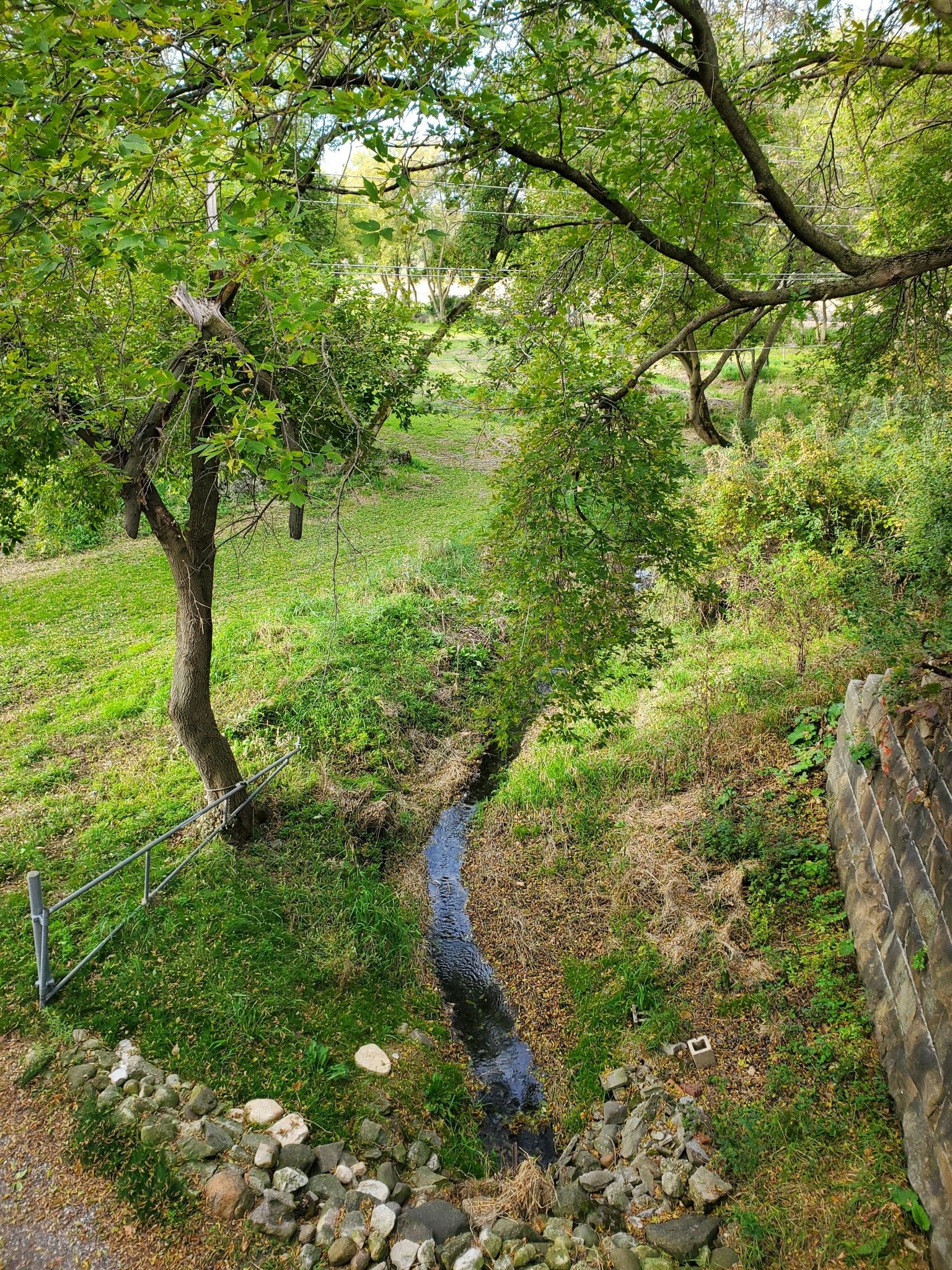 Small stream flowing through a green wooded area with trees overhead. - Glacial Drumlin State Trail loop from University of Wisconsin-Milwaukee at Waukesha