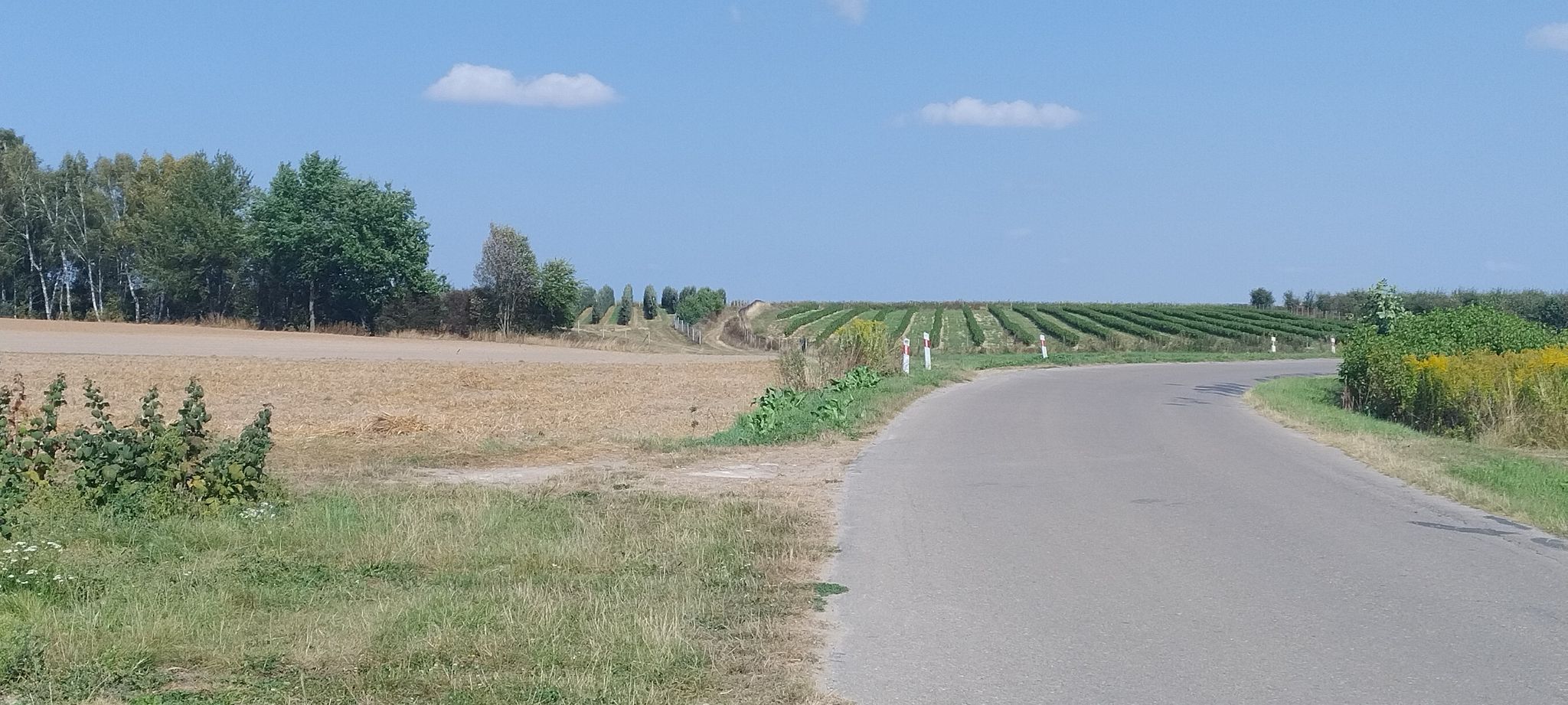 lessowa Wyżyna przed Słotwinami