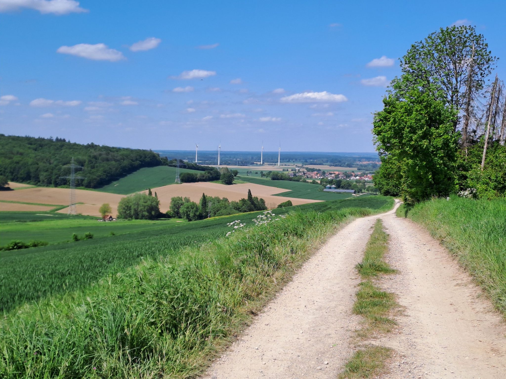 Aussicht in Richtung Steinhuder Meer