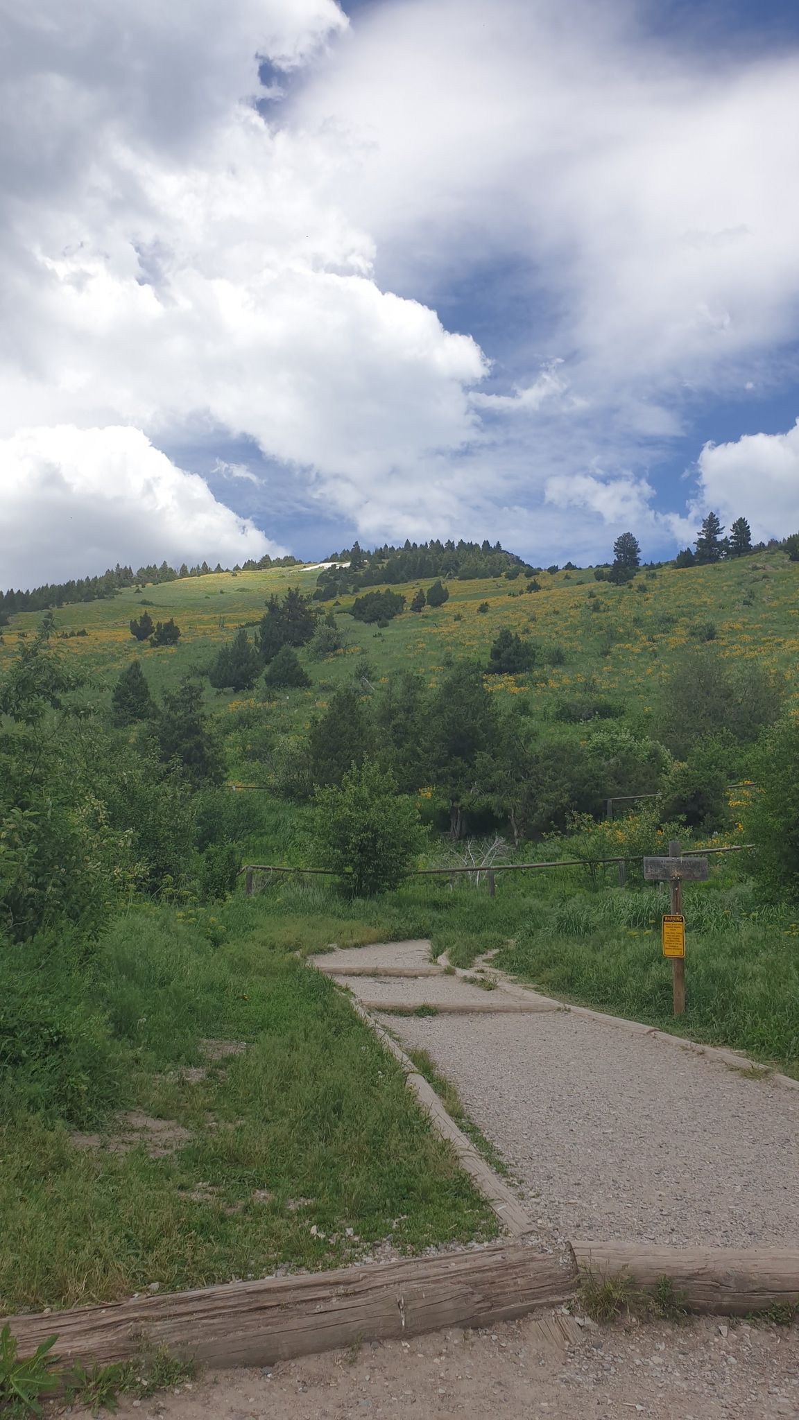 A dirt path leads up a green, cloudy hillside with scattered trees. - Signpost for trail directions – Drinking Horse Trailhead loop from Bozeman