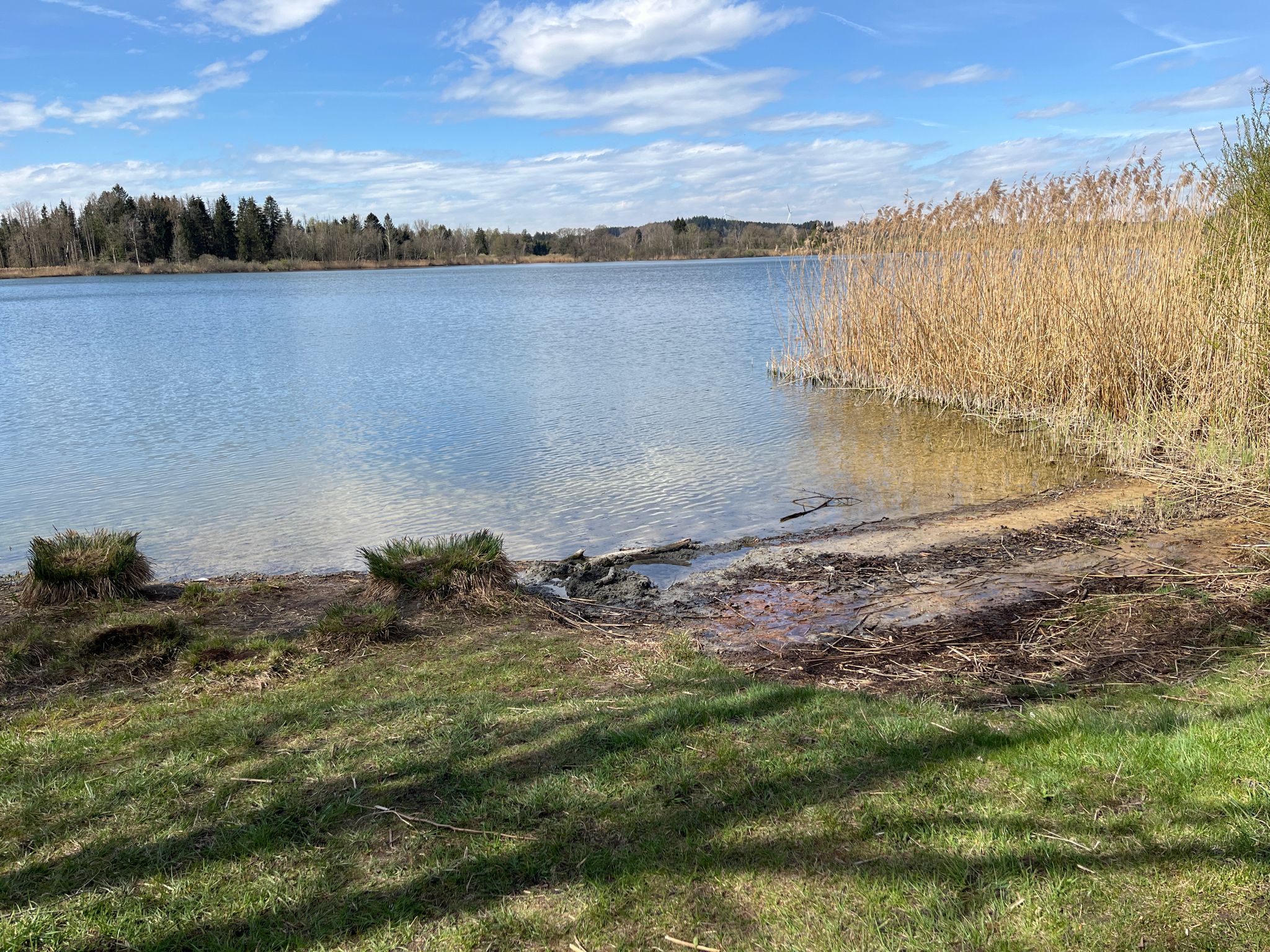 Ruschweilersee