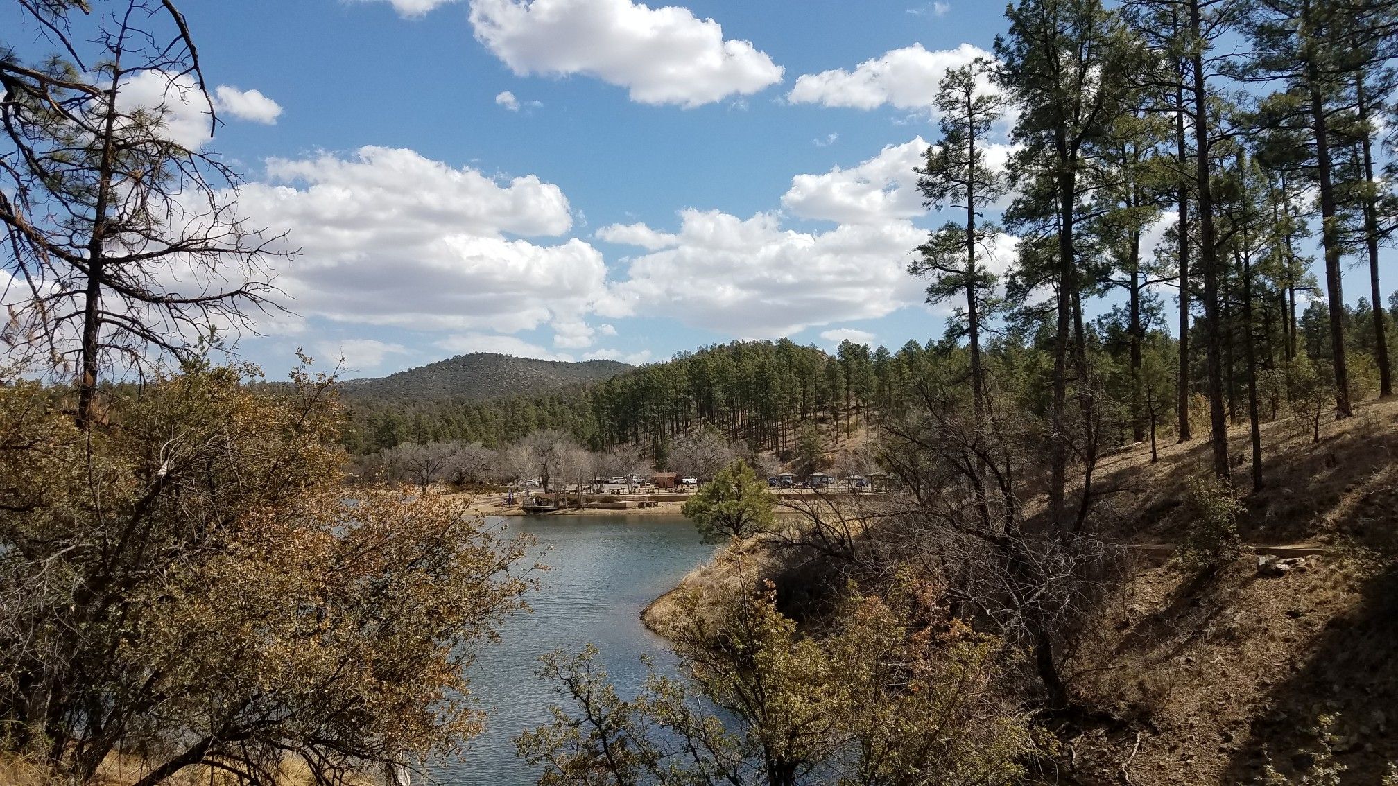 Lake surrounded by pine trees and hills, bright sky with white clouds. - Lynx Recreation Trail #311