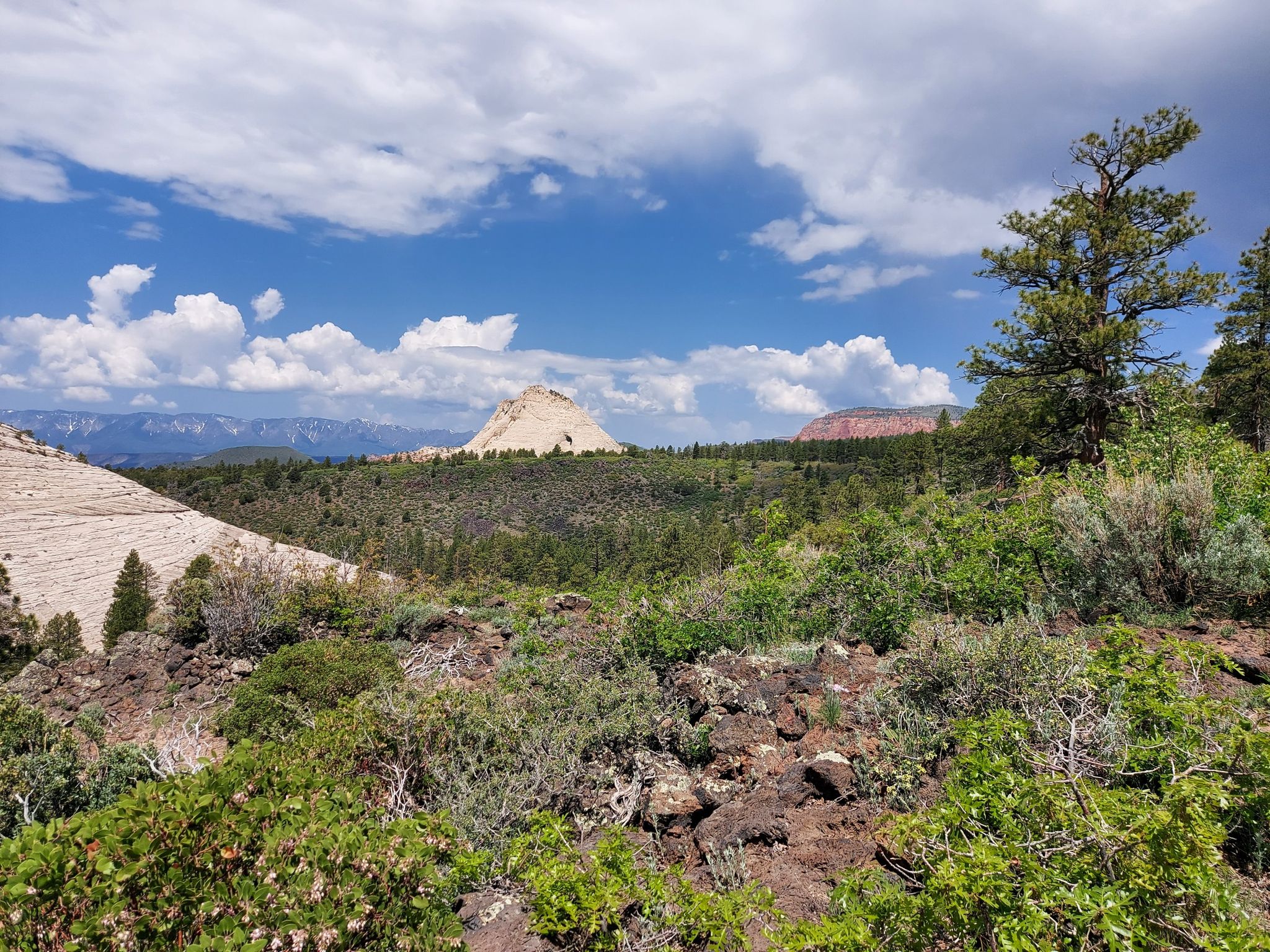 Vast landscape with green bushes, pine trees, and distant light-colored rock formations. - Northgate Peaks Trail