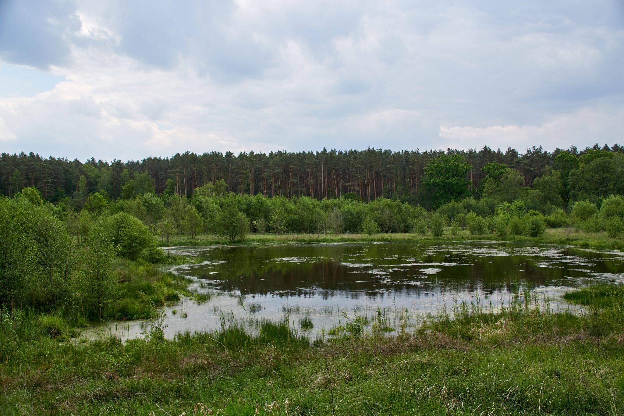 Renaturierte Billerbeck bei Melbeck