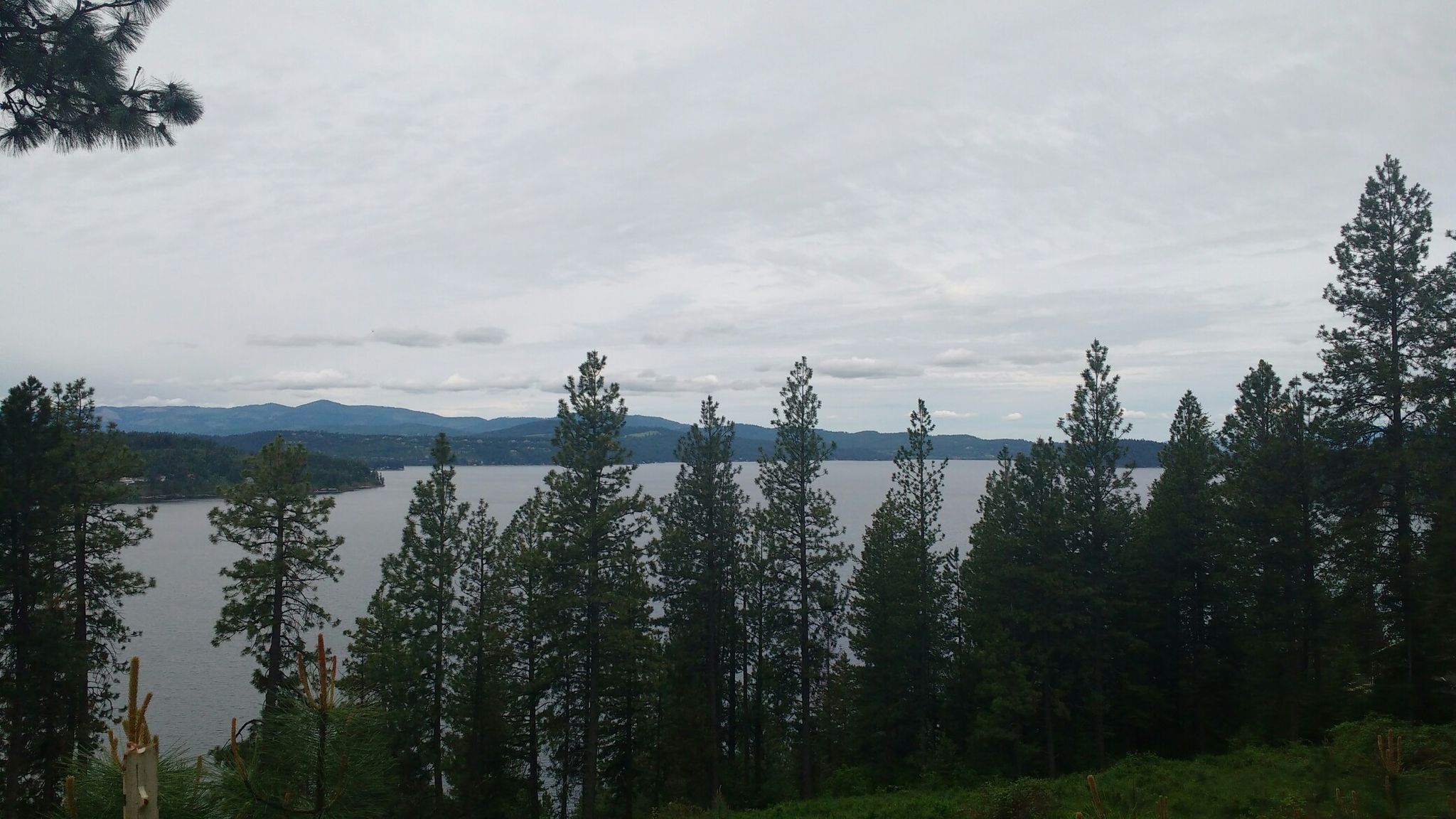 auf den East Yellowstone Trail