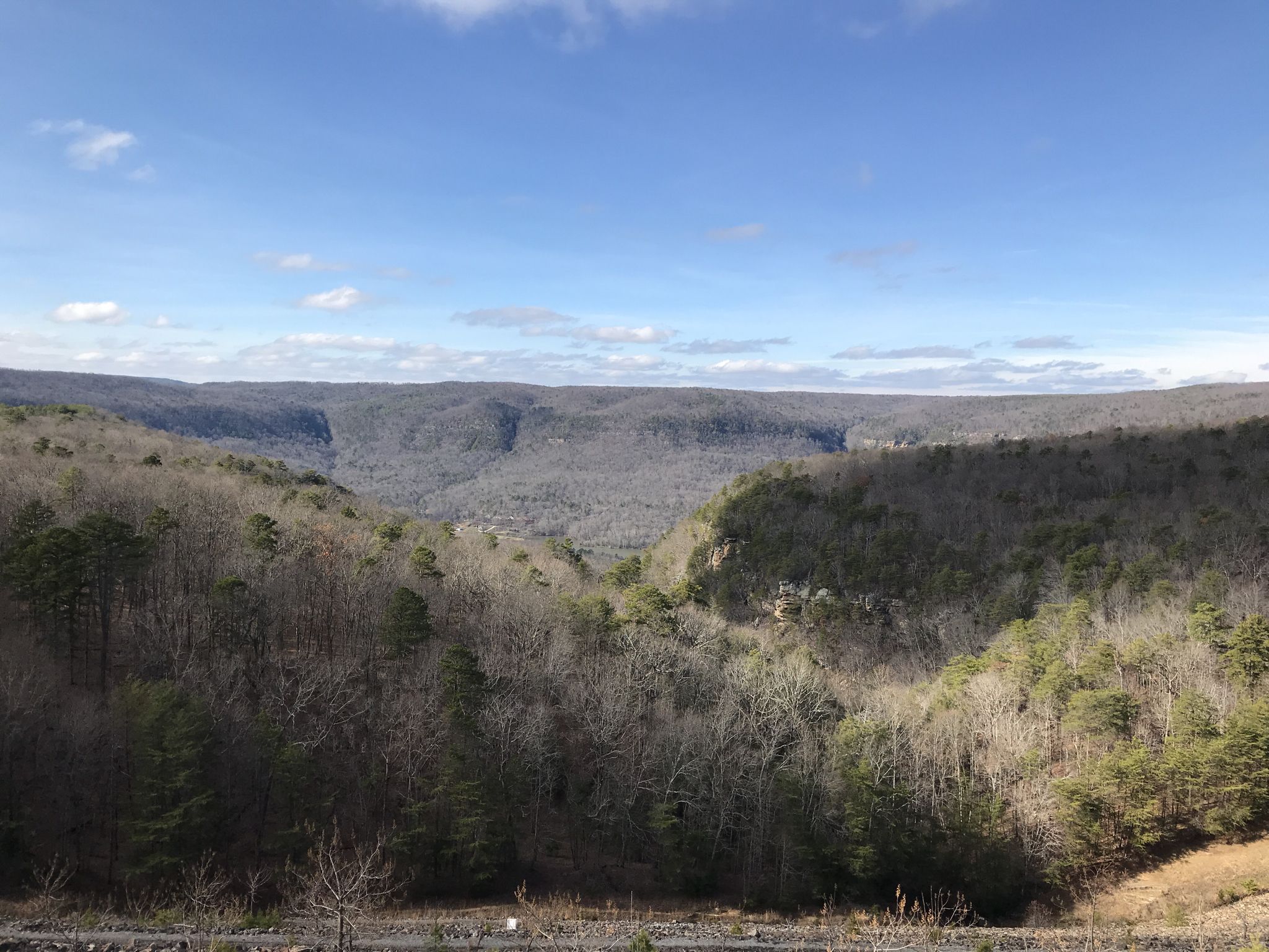 Wide valley with bare trees under a bright, clear sky. - Bike loop from St. Elmo's