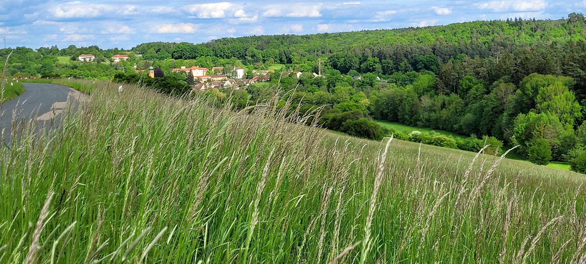 Blick auf Bruckberg