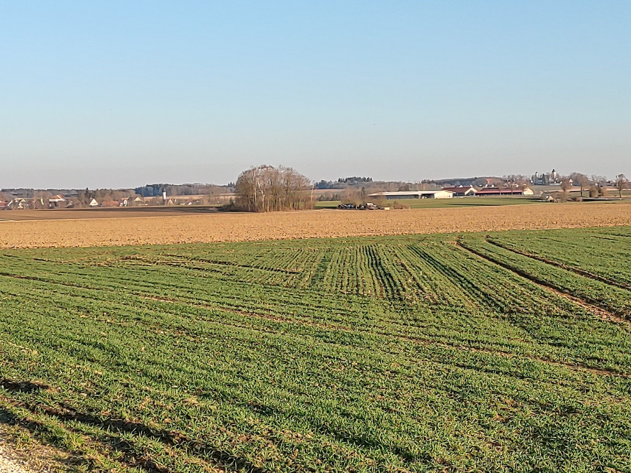 Blickrichtung ostwärts / Steinach und Hofhegnenberg