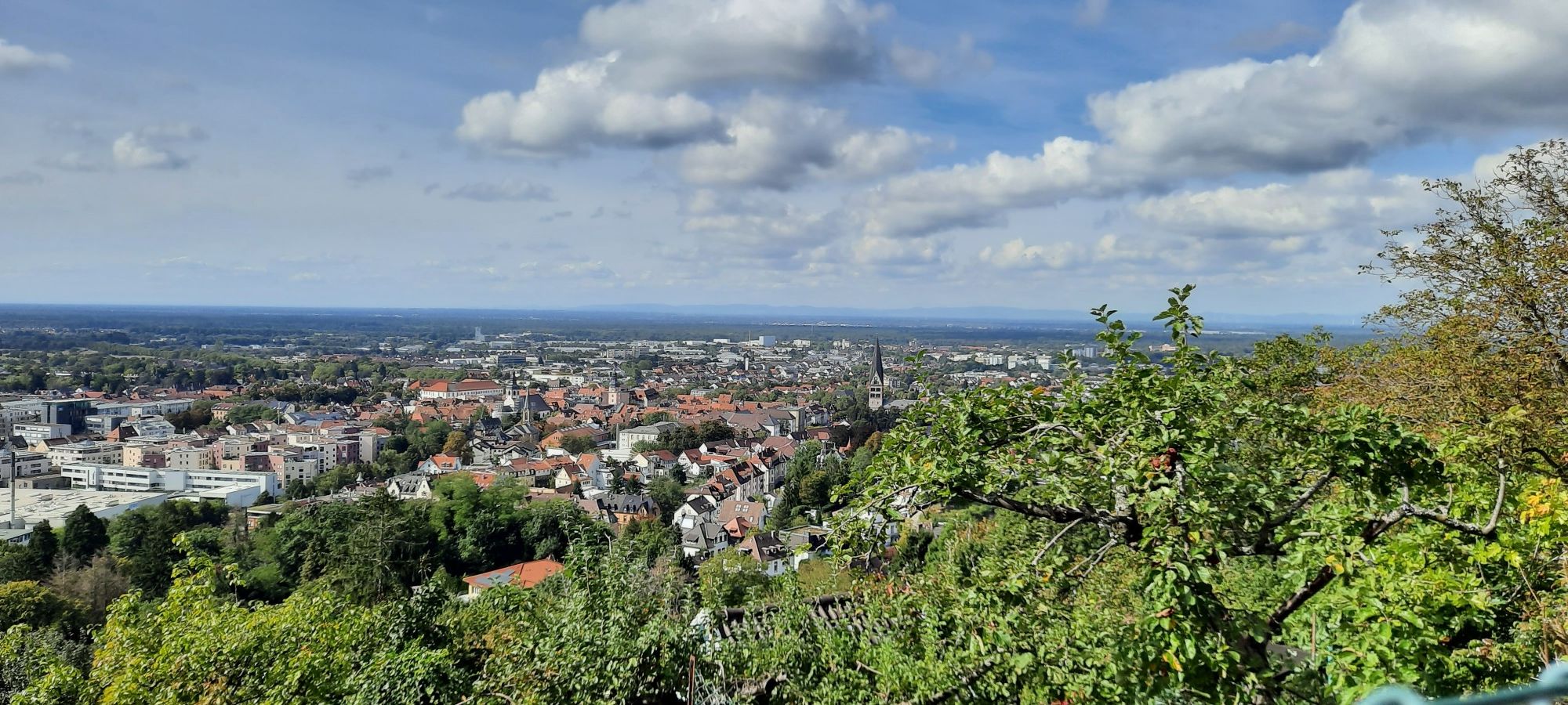 Blick Richtung Pfalz