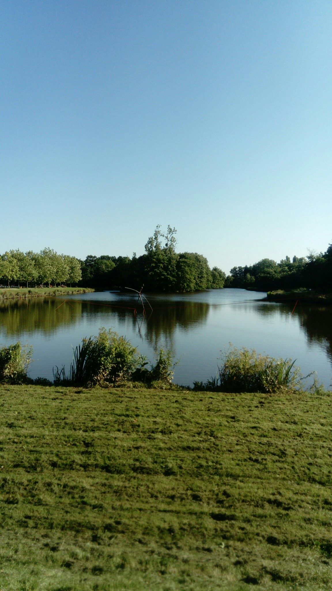 Betton 