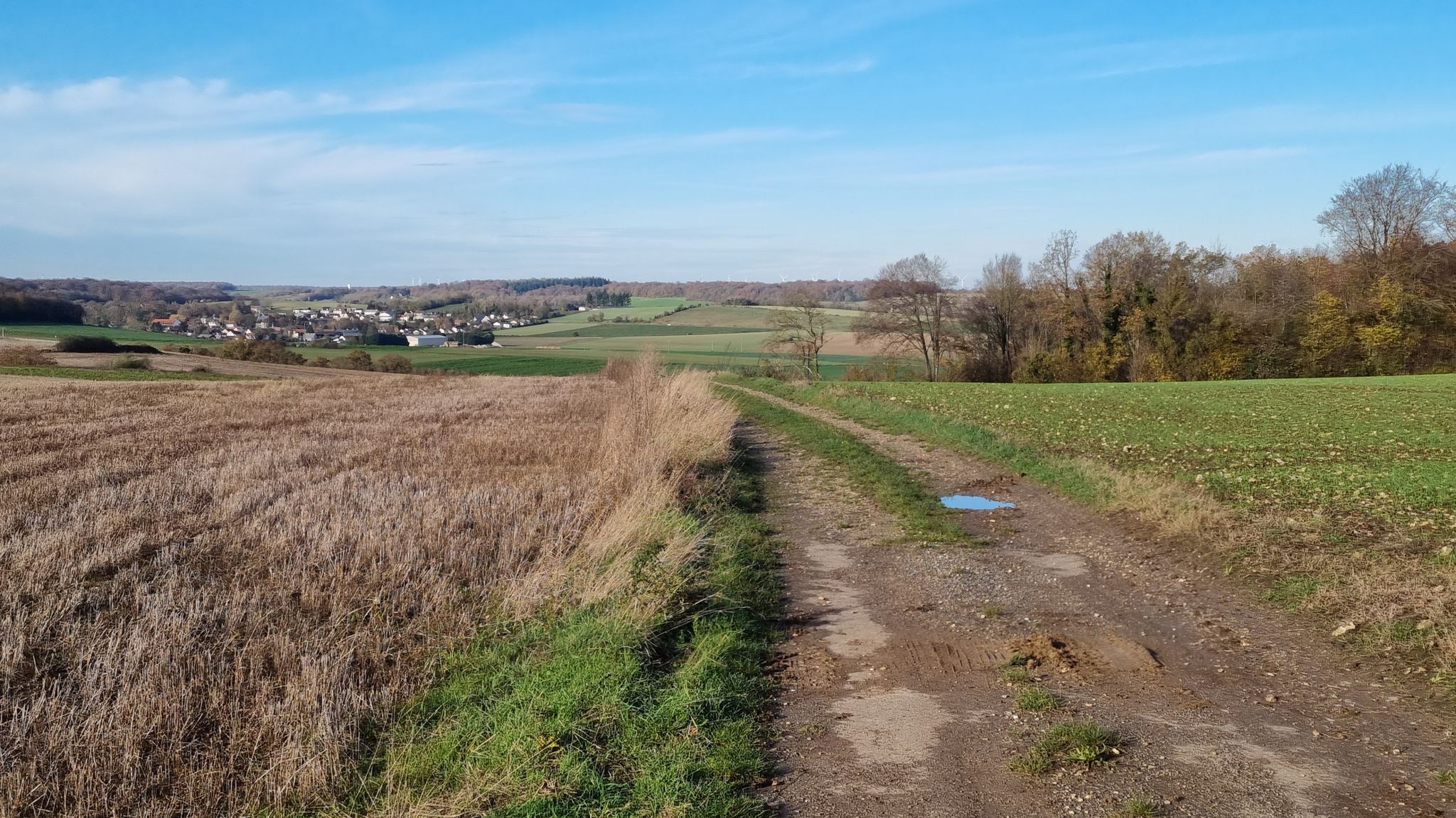 Ici s'arrête la route et commence le chemin / Here the road ends and the path begins