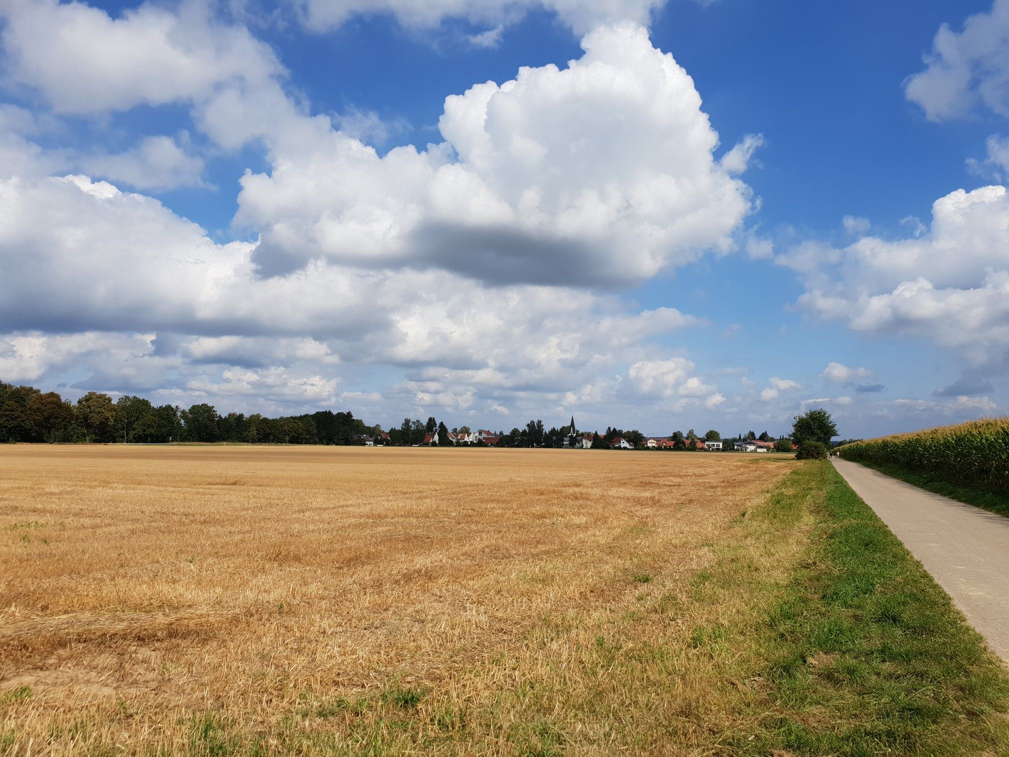 Blick auf Fellheim 
