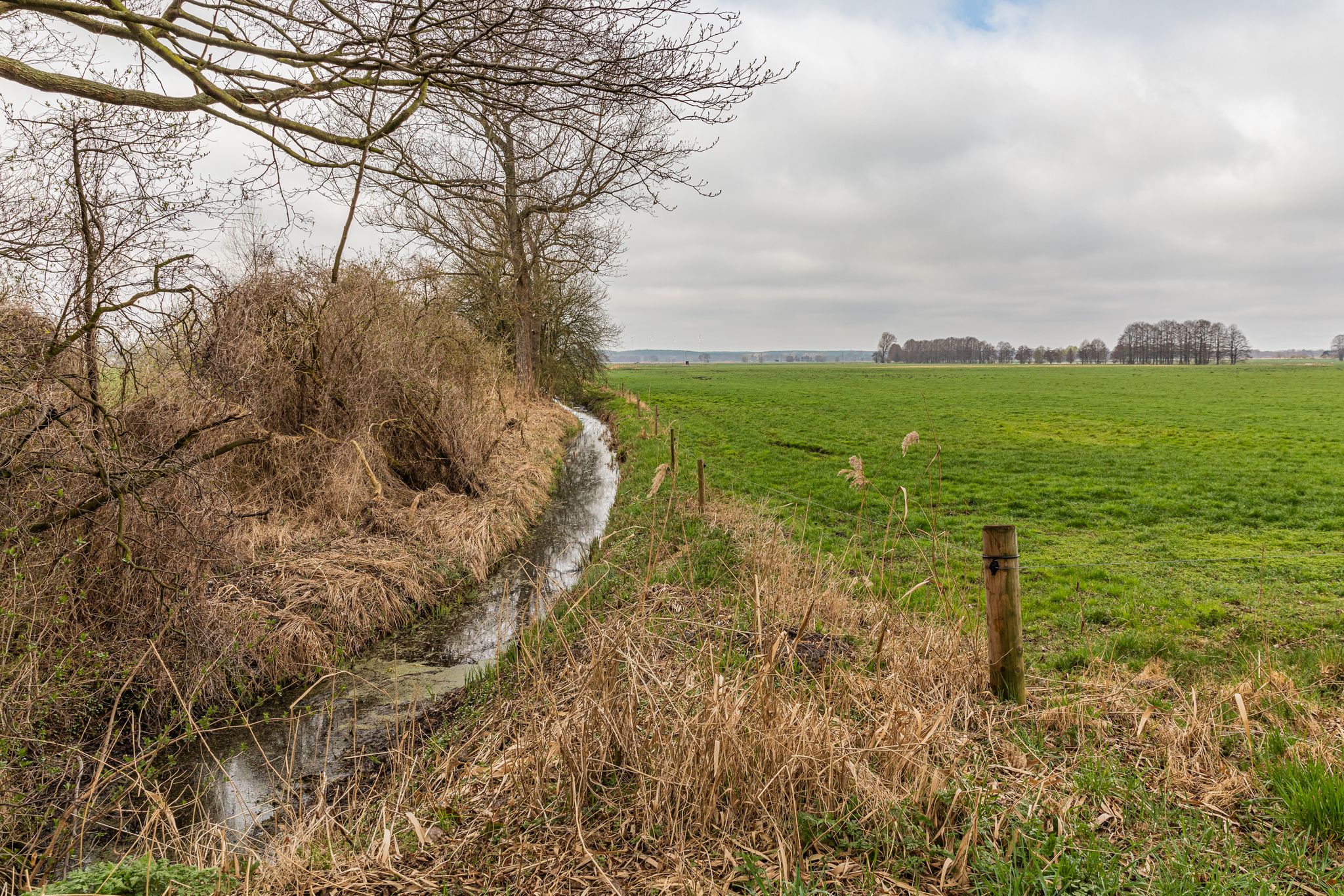 Fließ in Höhe des Kanurastplatzes am Emster Kanal