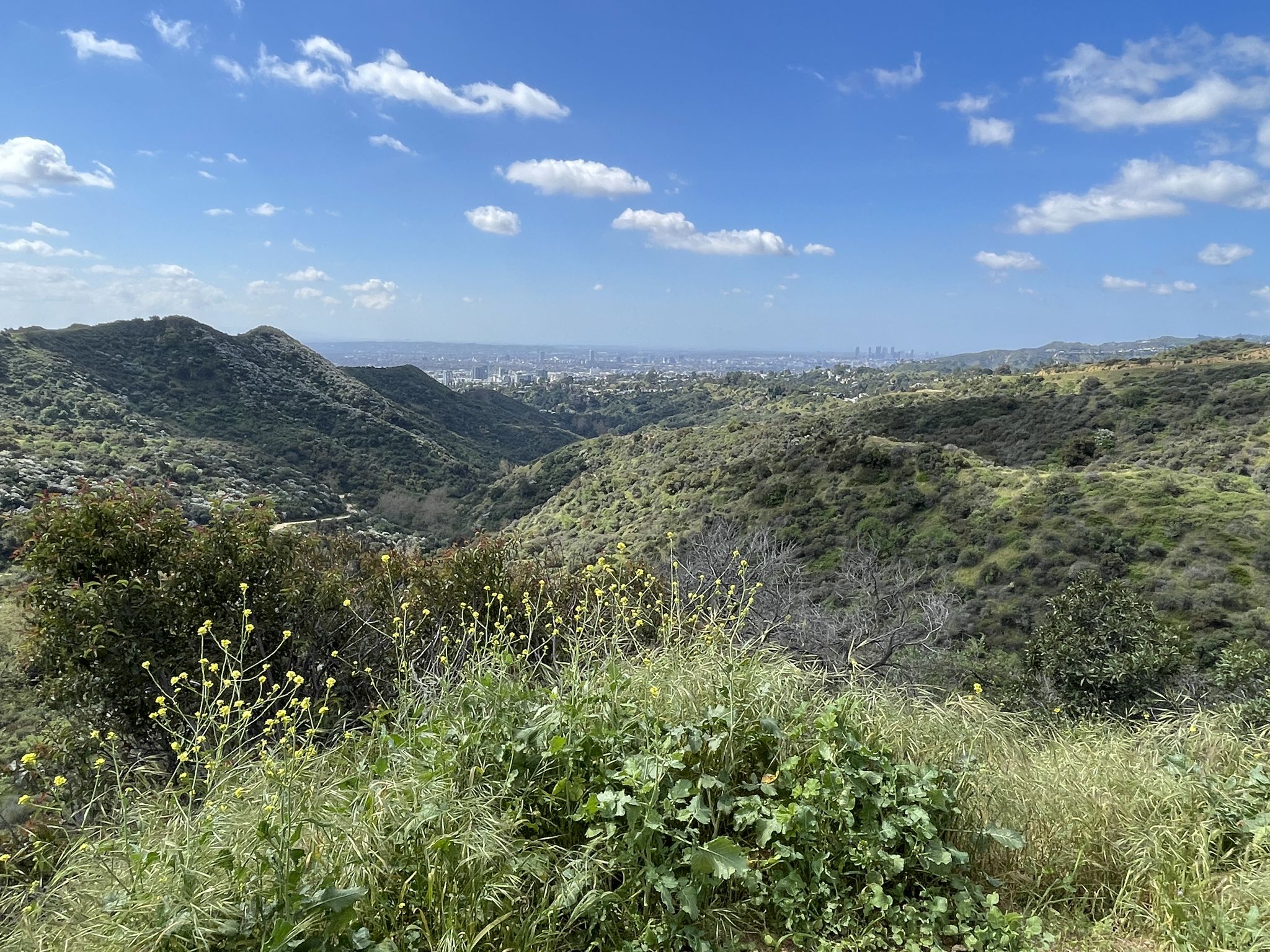 Lush green hills overlook a distant city under a bright, cloudy sky. - Hollywood Sign via Brush Canyon and Mulholland Trails