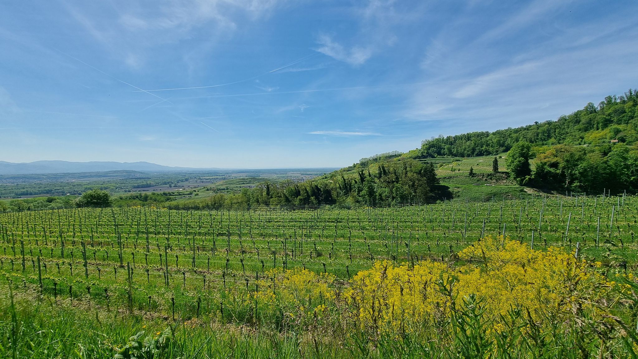 Panorama Richtung Burgundische Pforte