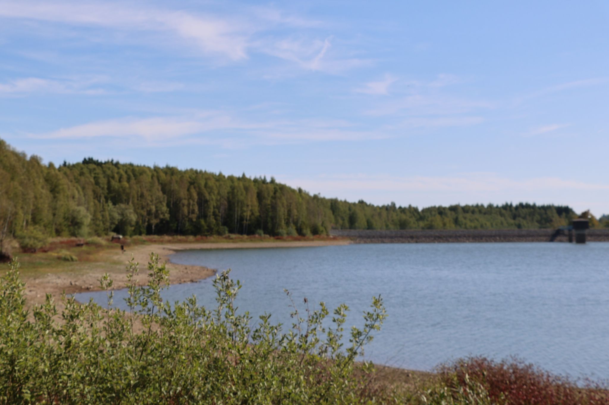 Kiliansteiche