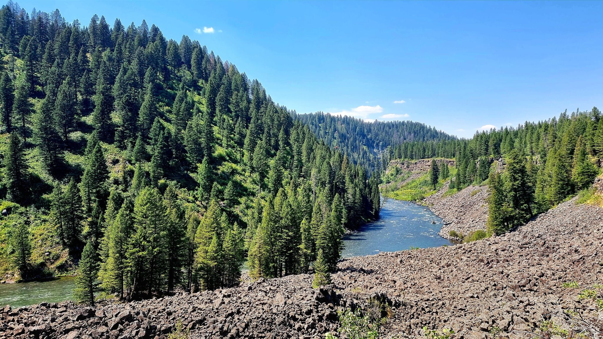 A river winds through a deep, pine-forested canyon on a sunny day. - Upper Mesa Falls – Lower Mesa Falls loop from Mesa Falls