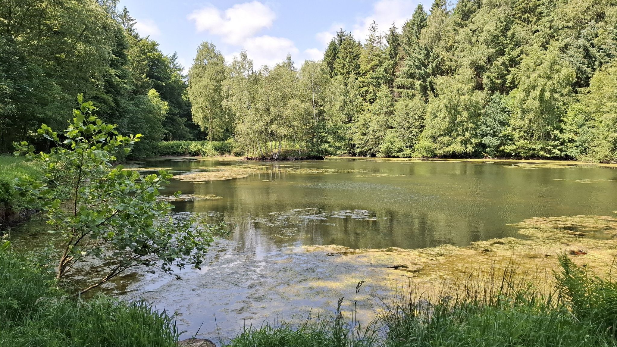 an den Fischteichen