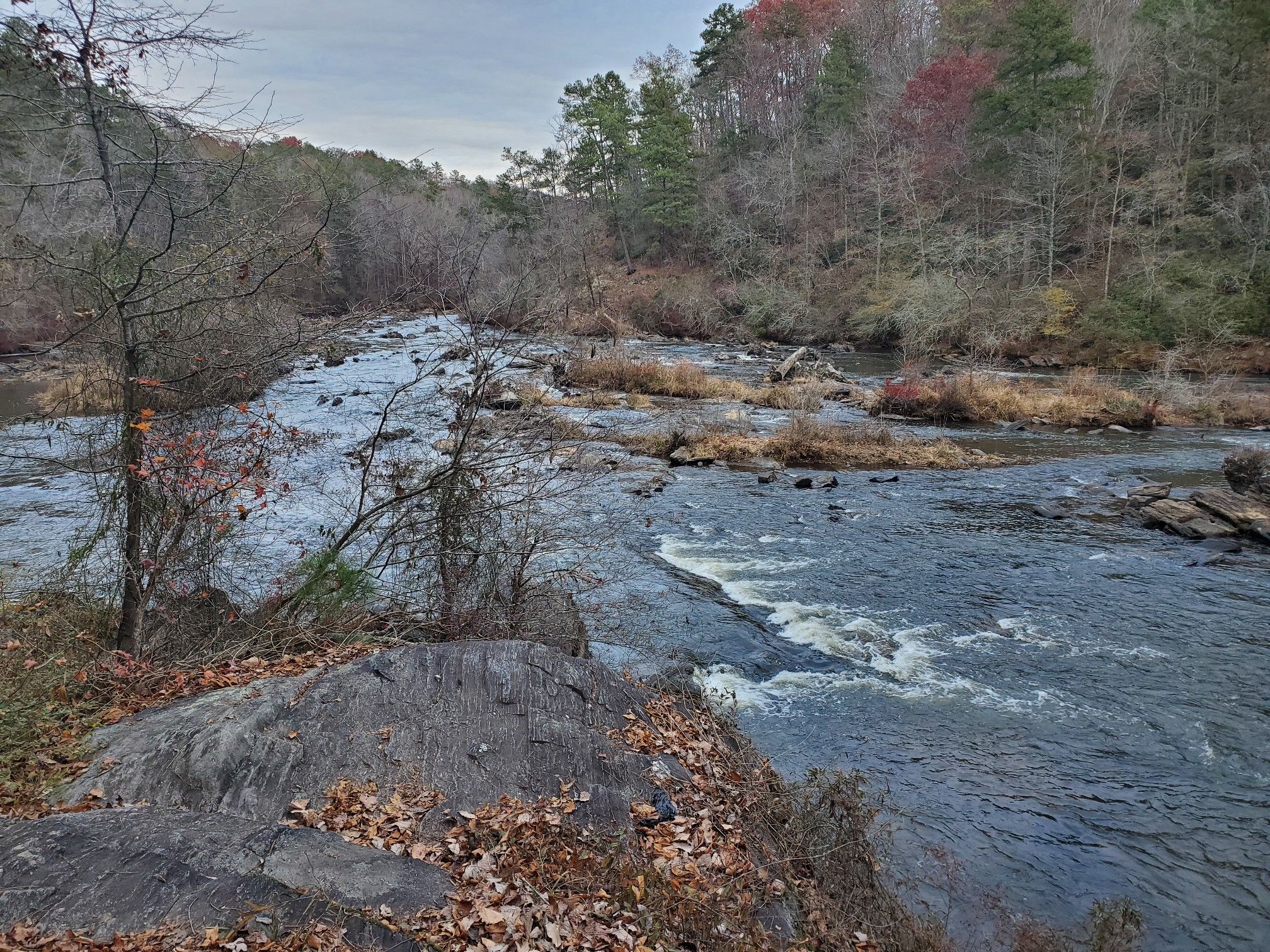 Wide river with rapids and rocks, surrounded by autumn-colored and bare trees. - Sweetwater Creek Yellow, Red, and White Loop