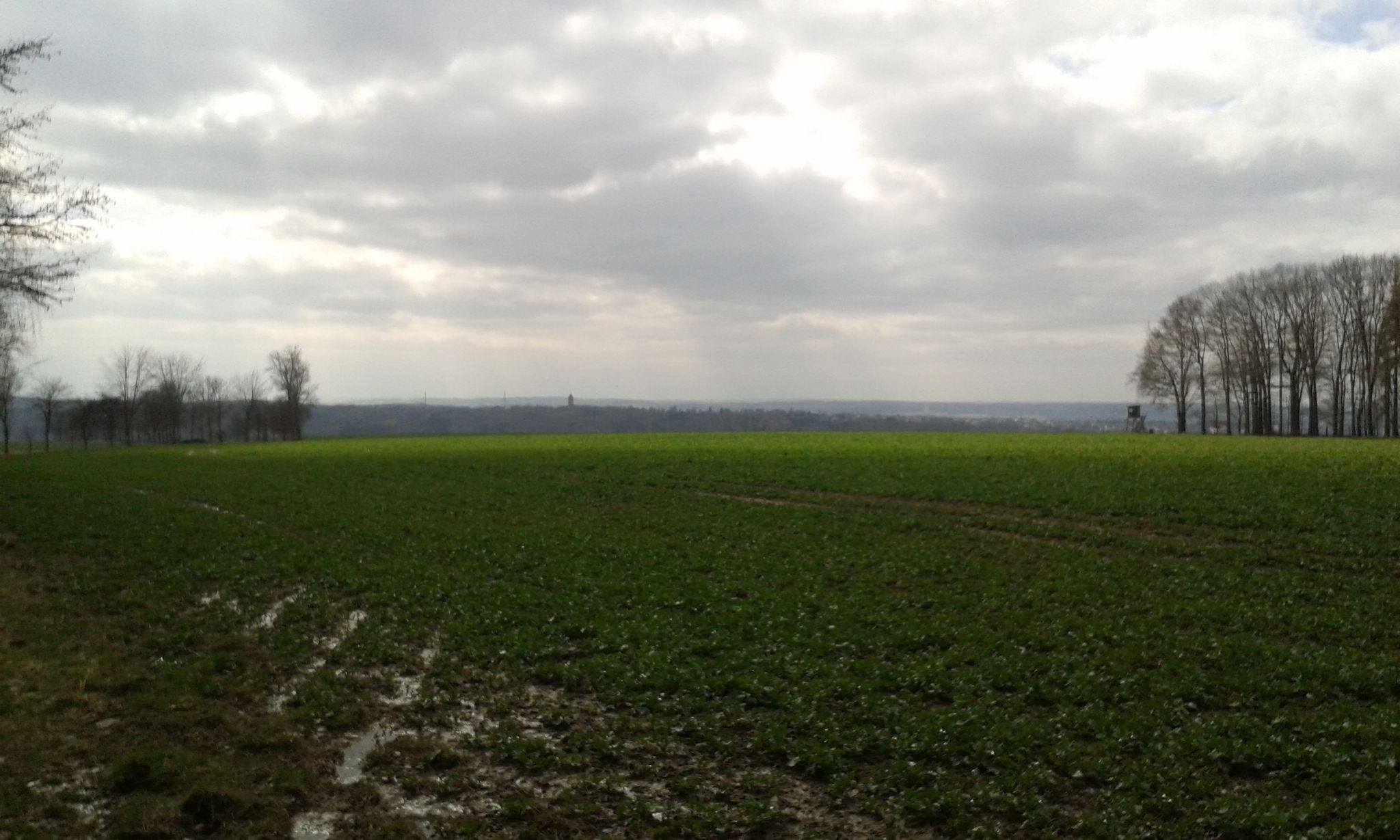 Blick zum Bismarckturm Glauchau