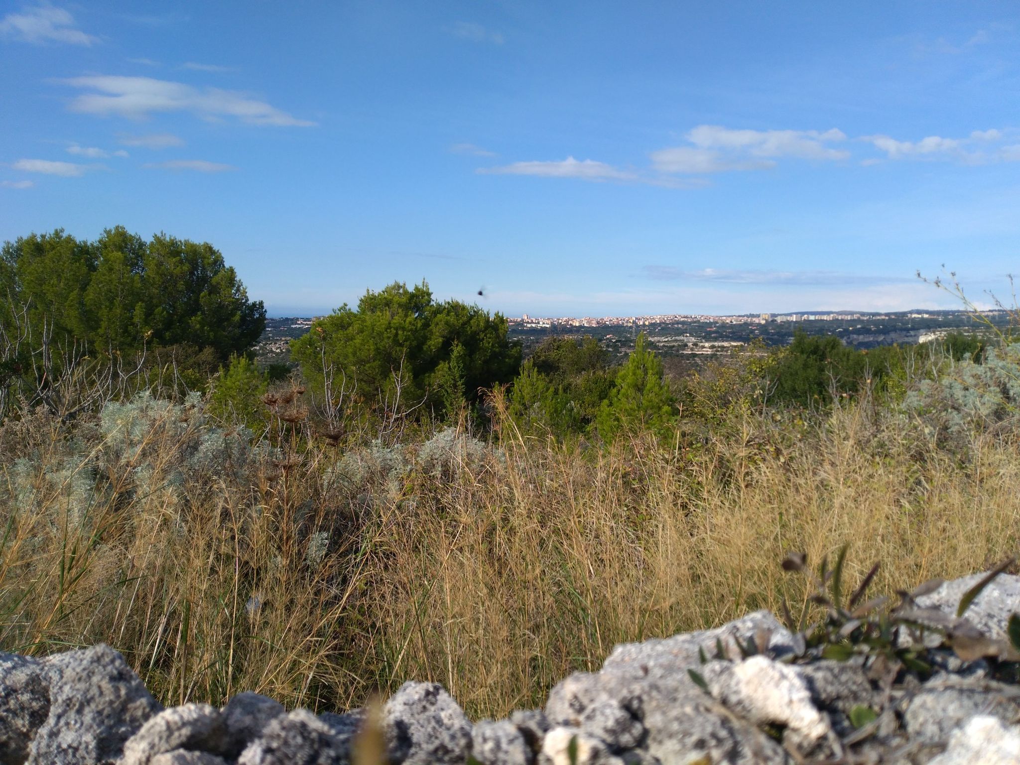 from the top of Tissi hill